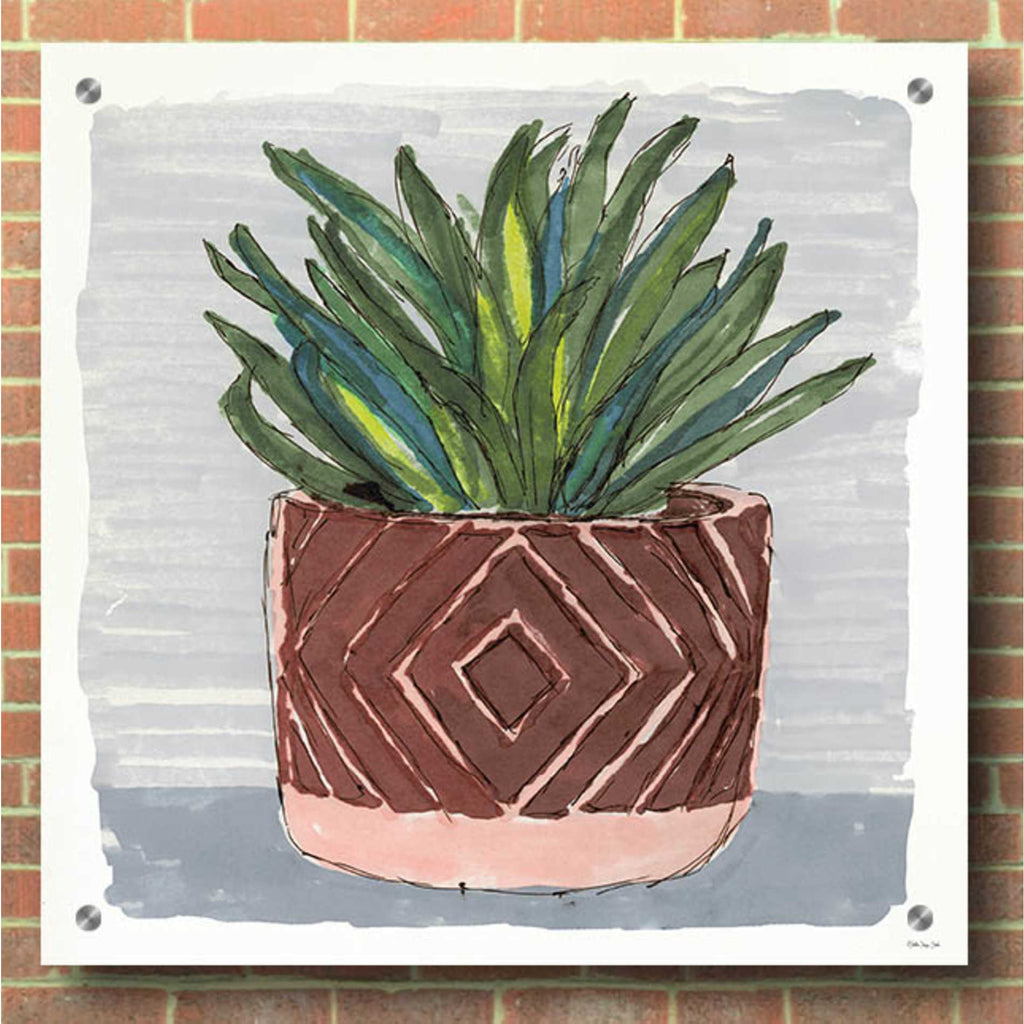 Epic Art 'Potted Agave II' by Stellar Design Studio, Acrylic Glass Wall Art,36x36