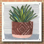 Epic Art 'Potted Agave II' by Stellar Design Studio, Acrylic Glass Wall Art,36x36