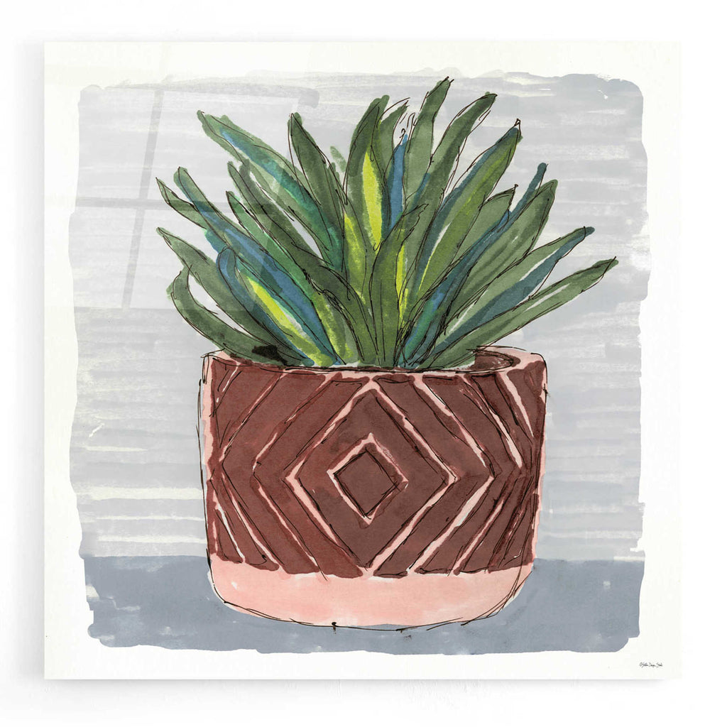 Epic Art 'Potted Agave II' by Stellar Design Studio, Acrylic Glass Wall Art