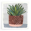 Epic Art 'Potted Agave II' by Stellar Design Studio, Acrylic Glass Wall Art