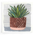 Epic Art 'Potted Agave II' by Stellar Design Studio, Acrylic Glass Wall Art