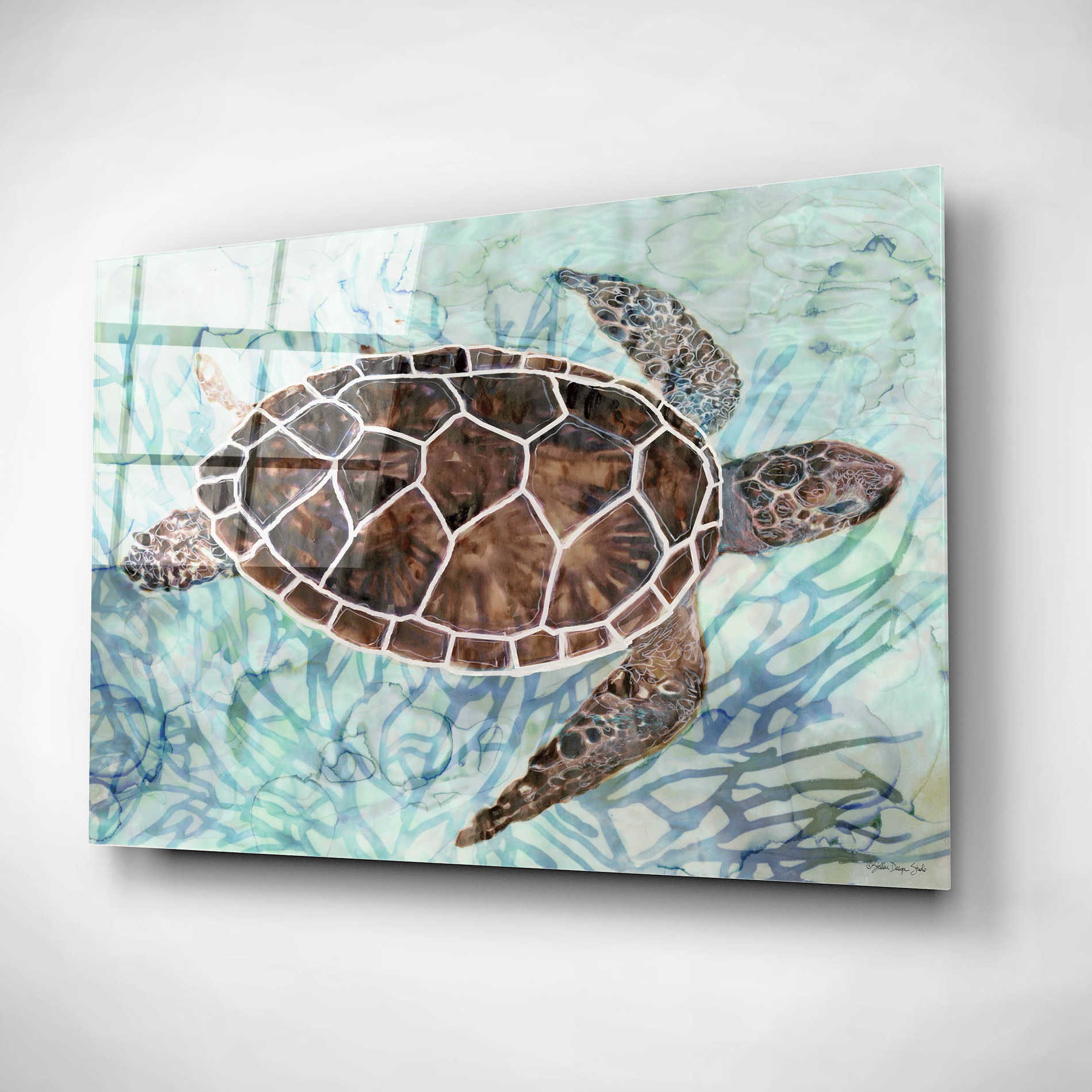 Epic Art 'Sea Turtle Collage 1' by Stellar Design Studio, Acrylic Glass Wall Art,16x12