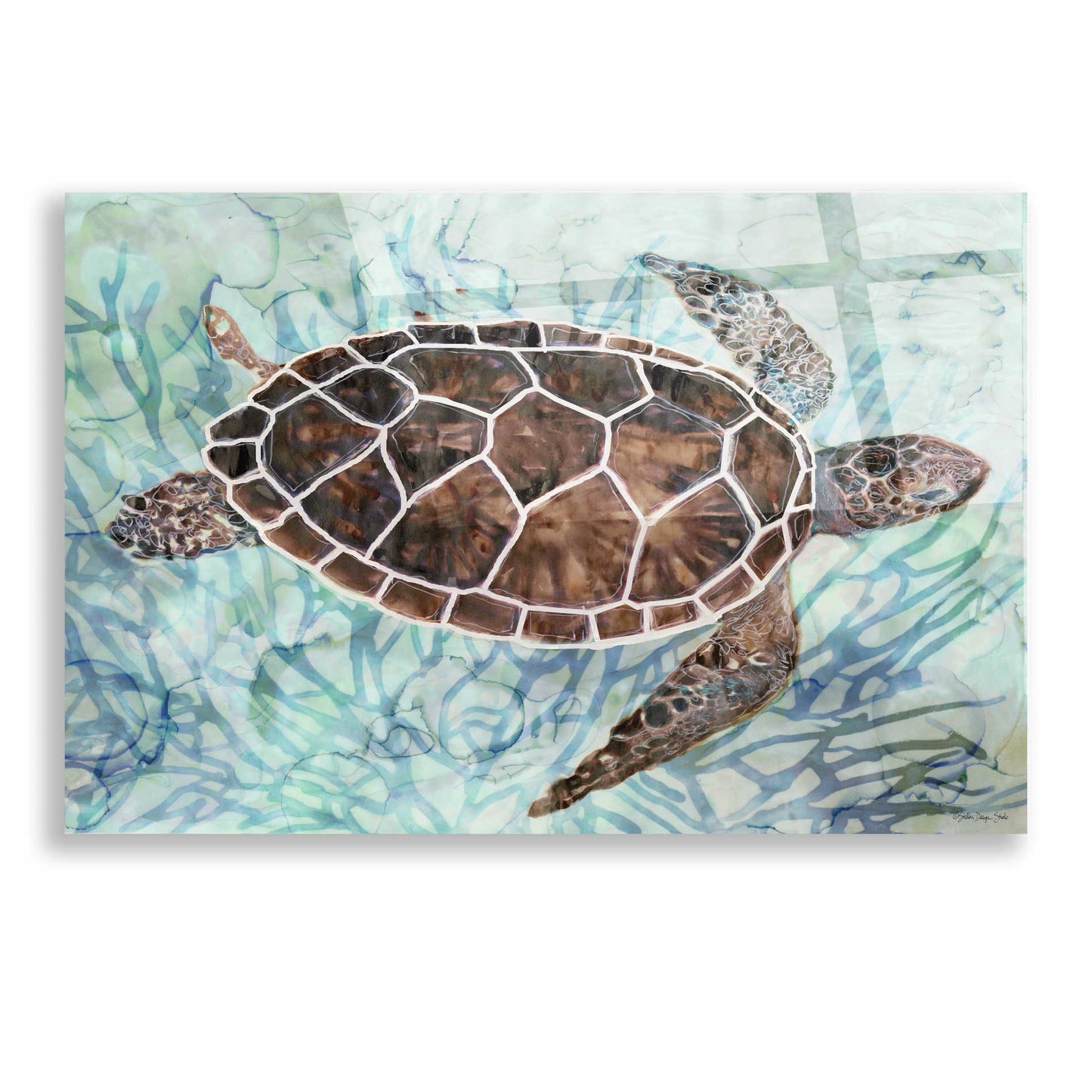 Epic Art 'Sea Turtle Collage 1' by Stellar Design Studio, Acrylic Glass Wall Art,16x12