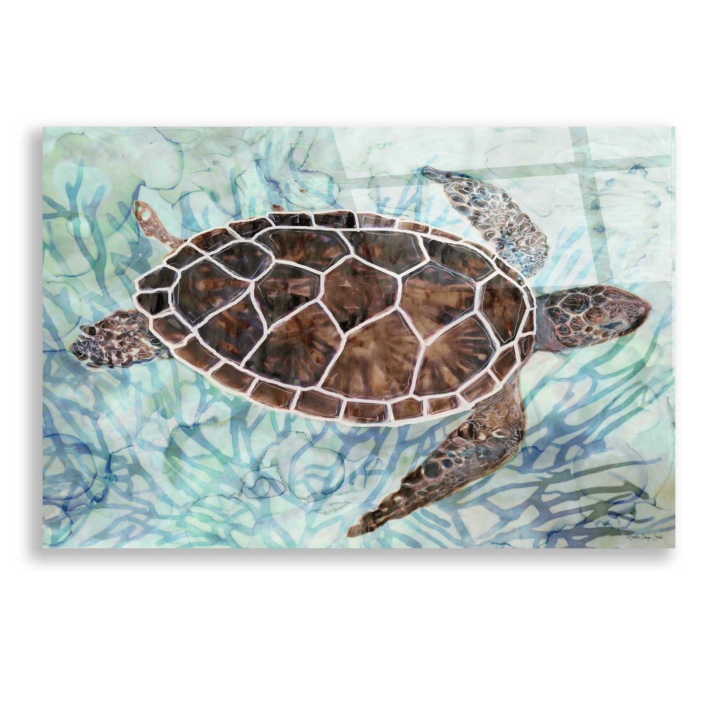 Epic Art 'Sea Turtle Collage 1' by Stellar Design Studio, Acrylic Glass Wall Art,24x16