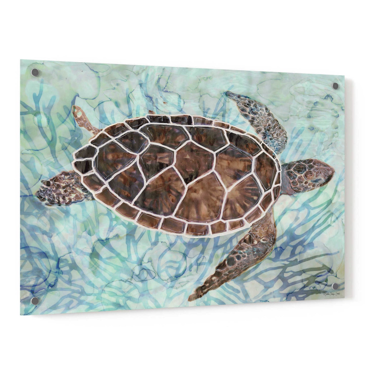 Epic Art 'Sea Turtle Collage 1' by Stellar Design Studio, Acrylic Glass Wall Art,36x24