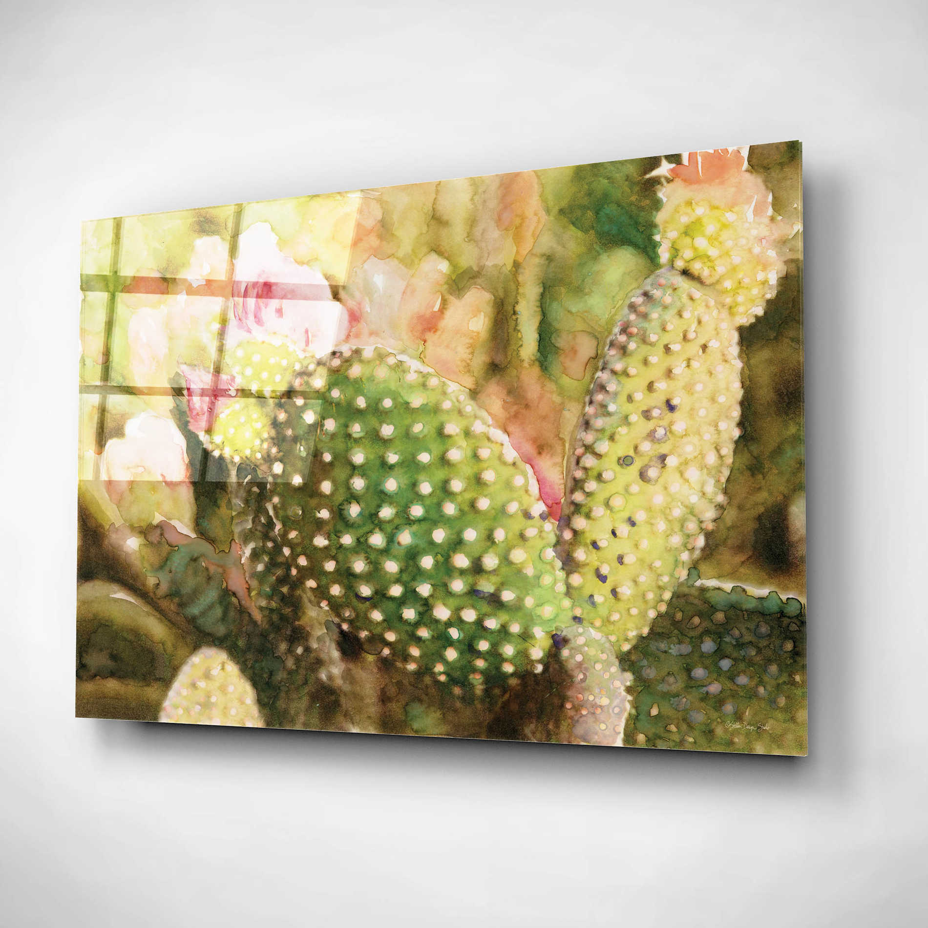 Epic Art 'Cactus Flowers' by Stellar Design Studio, Acrylic Glass Wall Art,16x12