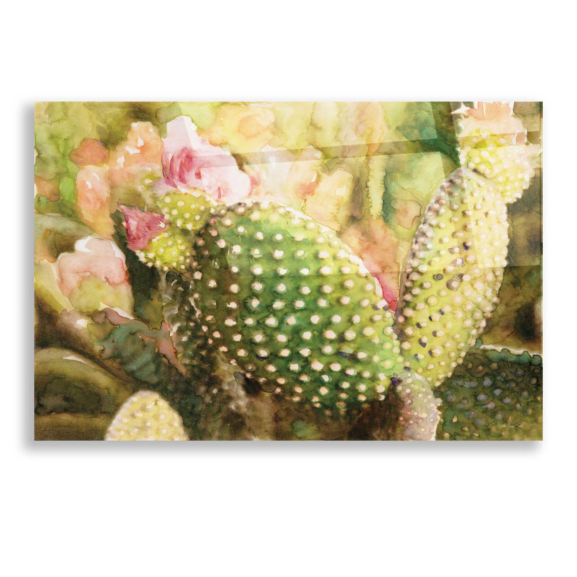 Epic Art 'Cactus Flowers' by Stellar Design Studio, Acrylic Glass Wall Art,16x12