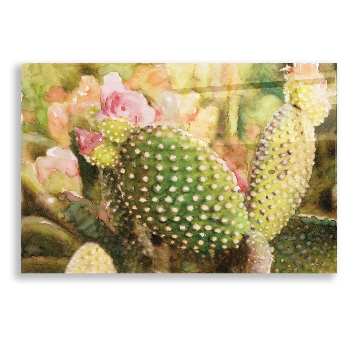 Epic Art 'Cactus Flowers' by Stellar Design Studio, Acrylic Glass Wall Art,24x16