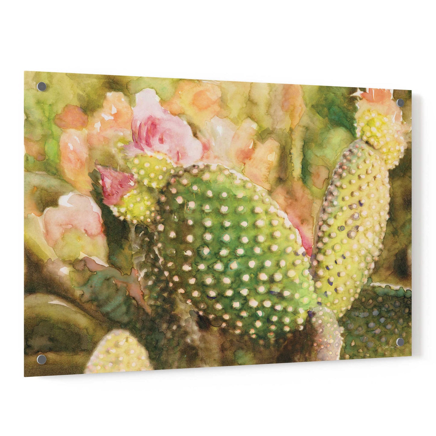 Epic Art 'Cactus Flowers' by Stellar Design Studio, Acrylic Glass Wall Art,36x24