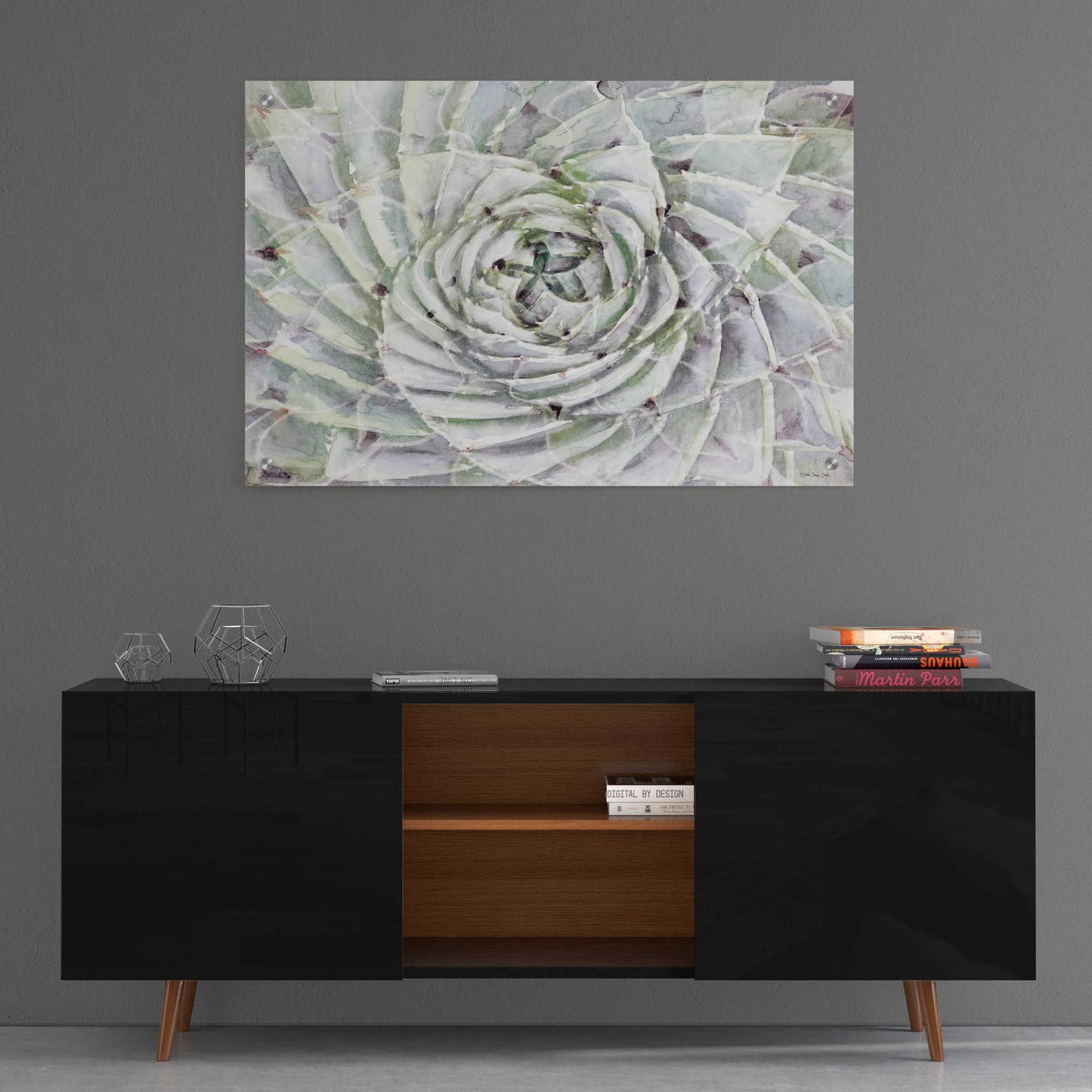 Epic Art 'Succulent Macro' by Stellar Design Studio, Acrylic Glass Wall Art,36x24