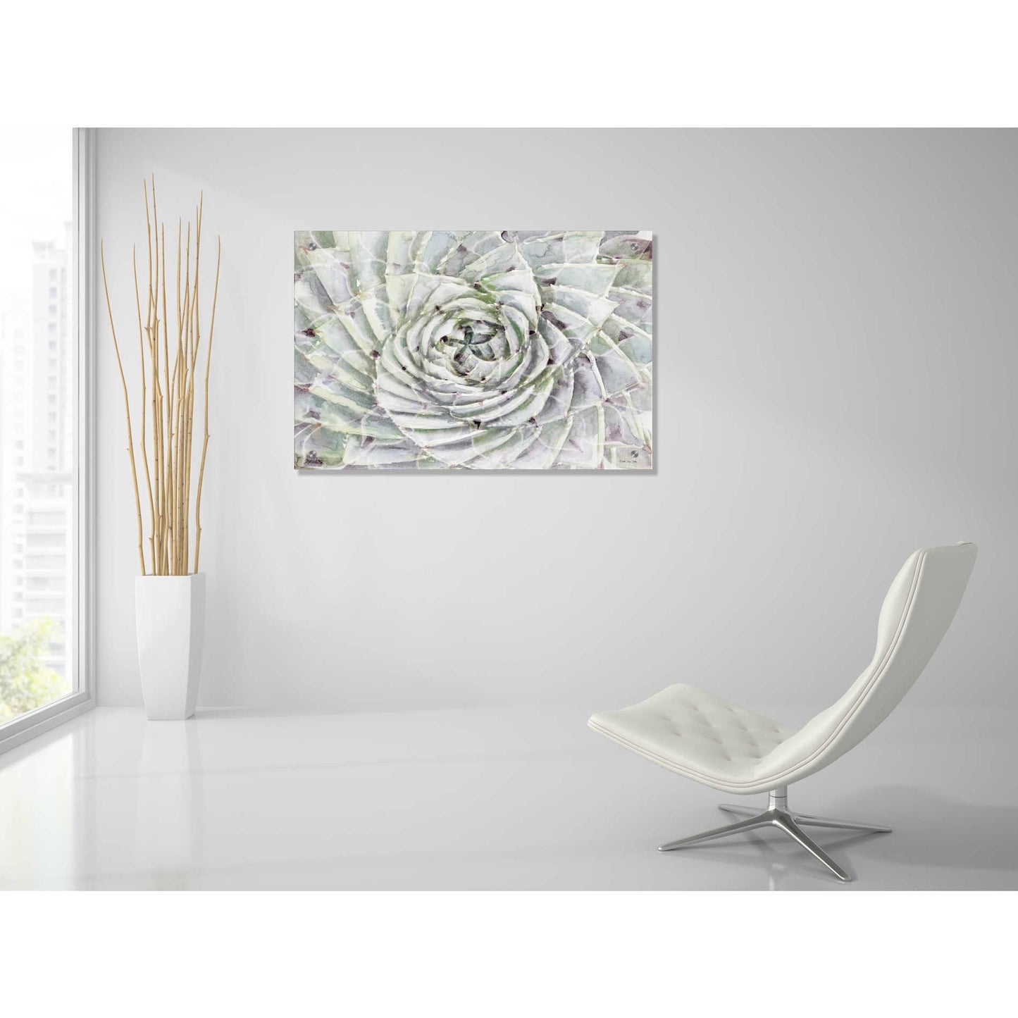 Epic Art 'Succulent Macro' by Stellar Design Studio, Acrylic Glass Wall Art,36x24