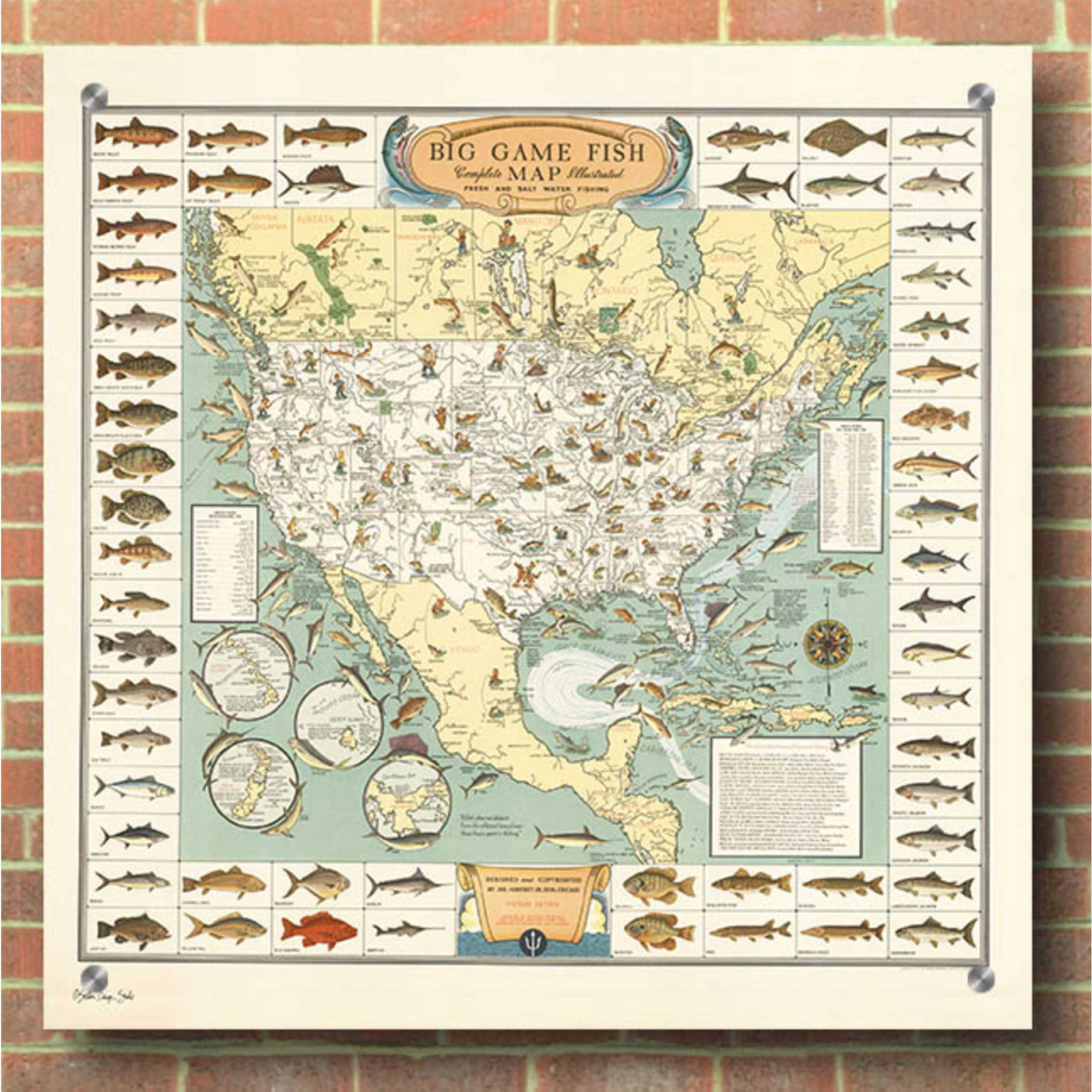 Epic Art 'Big Game Fish Map' by Stellar Design Studio, Acrylic Glass Wall Art,36x36
