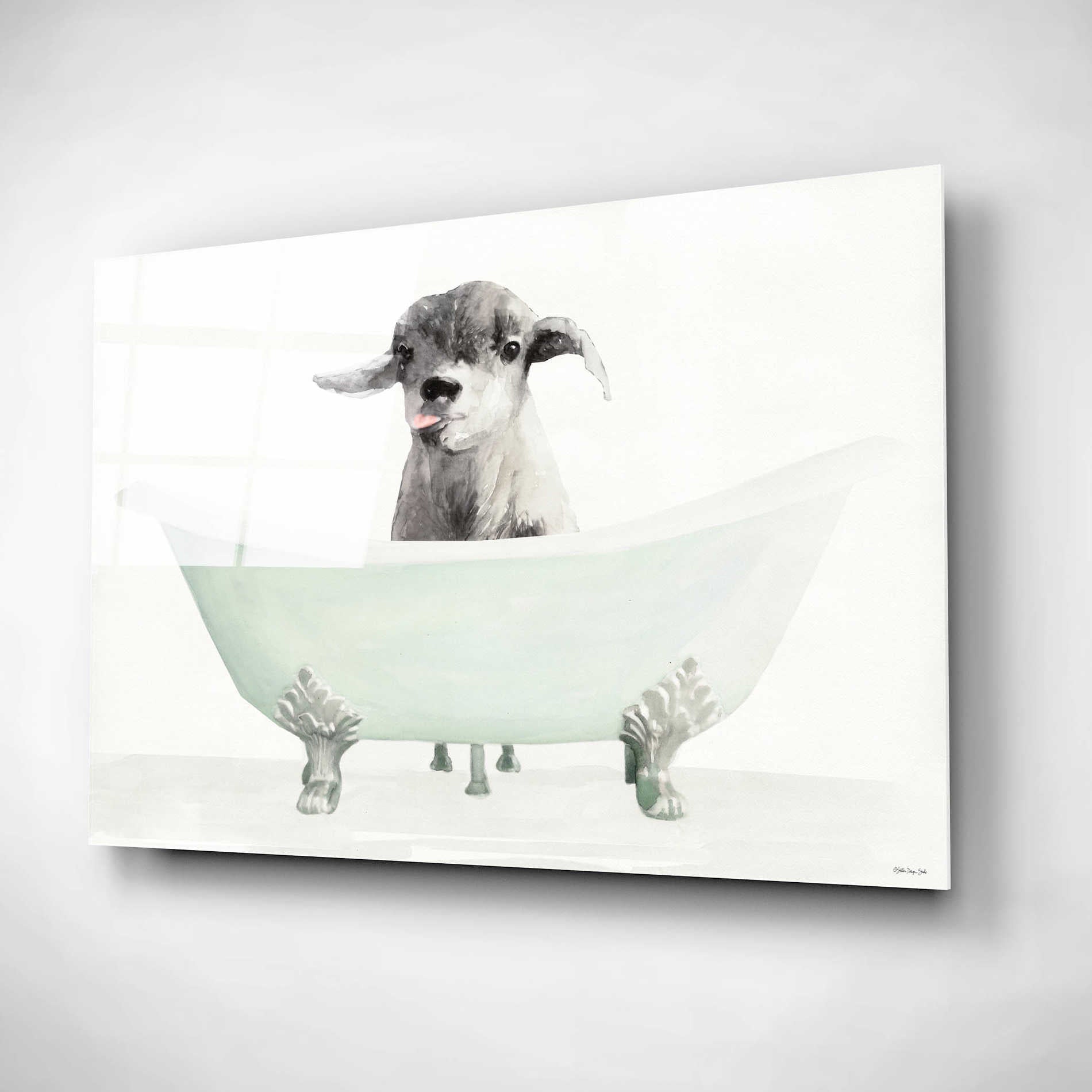 Epic Art 'Vintage Tub with Goat' by Stellar Design Studio, Acrylic Glass Wall Art,16x12