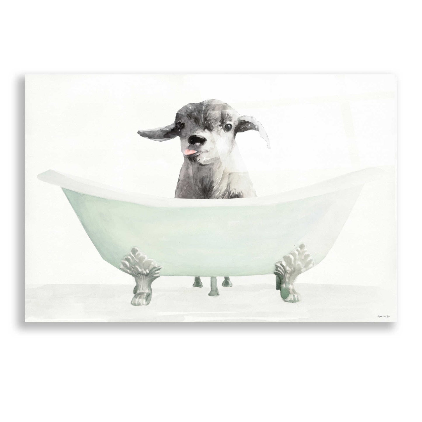 Epic Art 'Vintage Tub with Goat' by Stellar Design Studio, Acrylic Glass Wall Art,24x16
