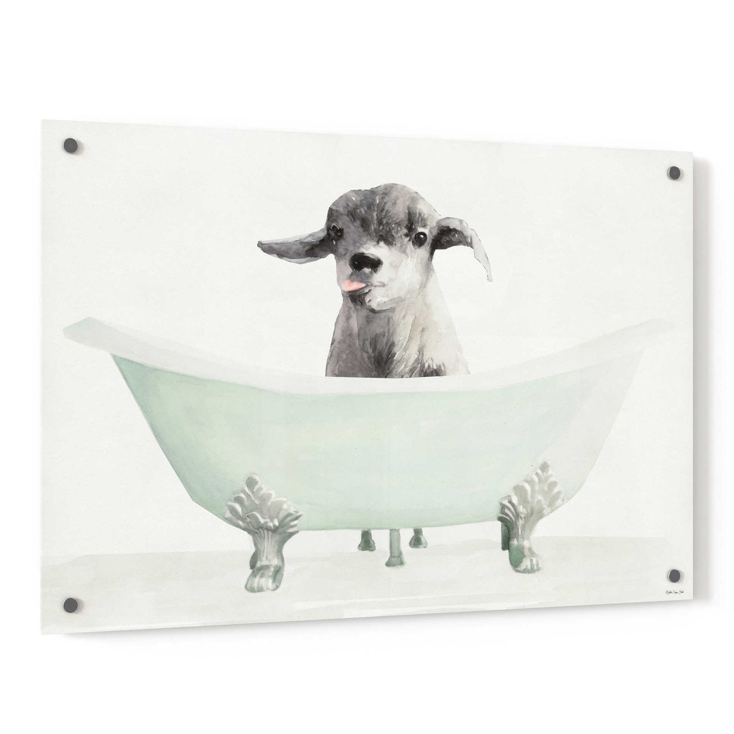 Epic Art 'Vintage Tub with Goat' by Stellar Design Studio, Acrylic Glass Wall Art,36x24