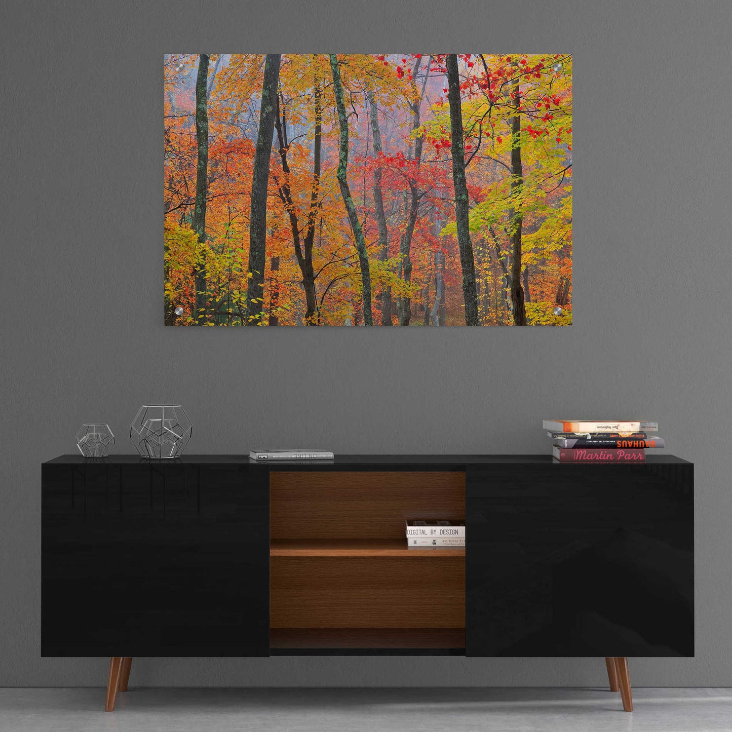 Epic Art 'Autumn Colors' by Patrick Zephyr, Acrylic Glass Wall Art,36x24
