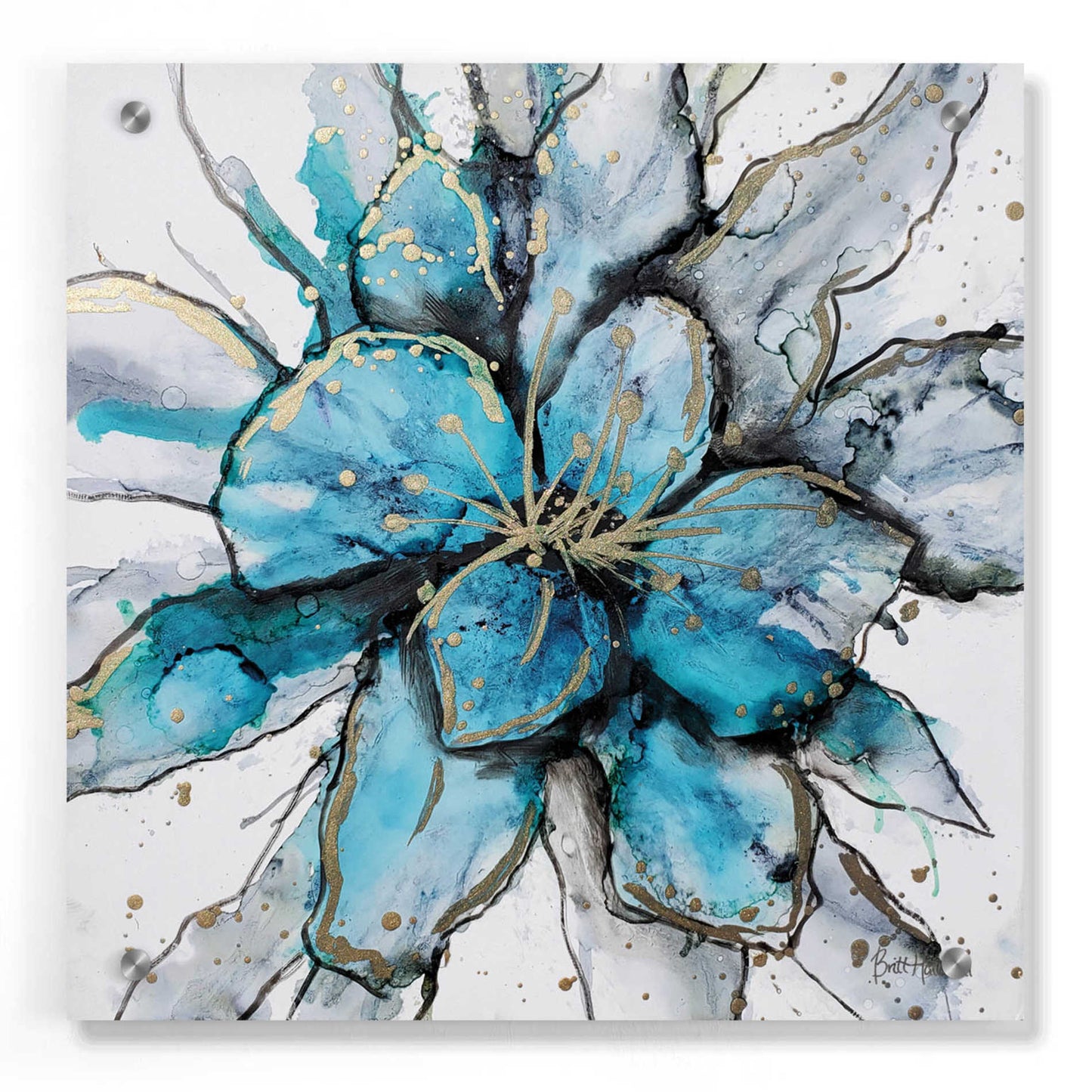 Epic Art 'Blooming 2' by Britt Hallowell, Acrylic Glass Wall Art,36x36