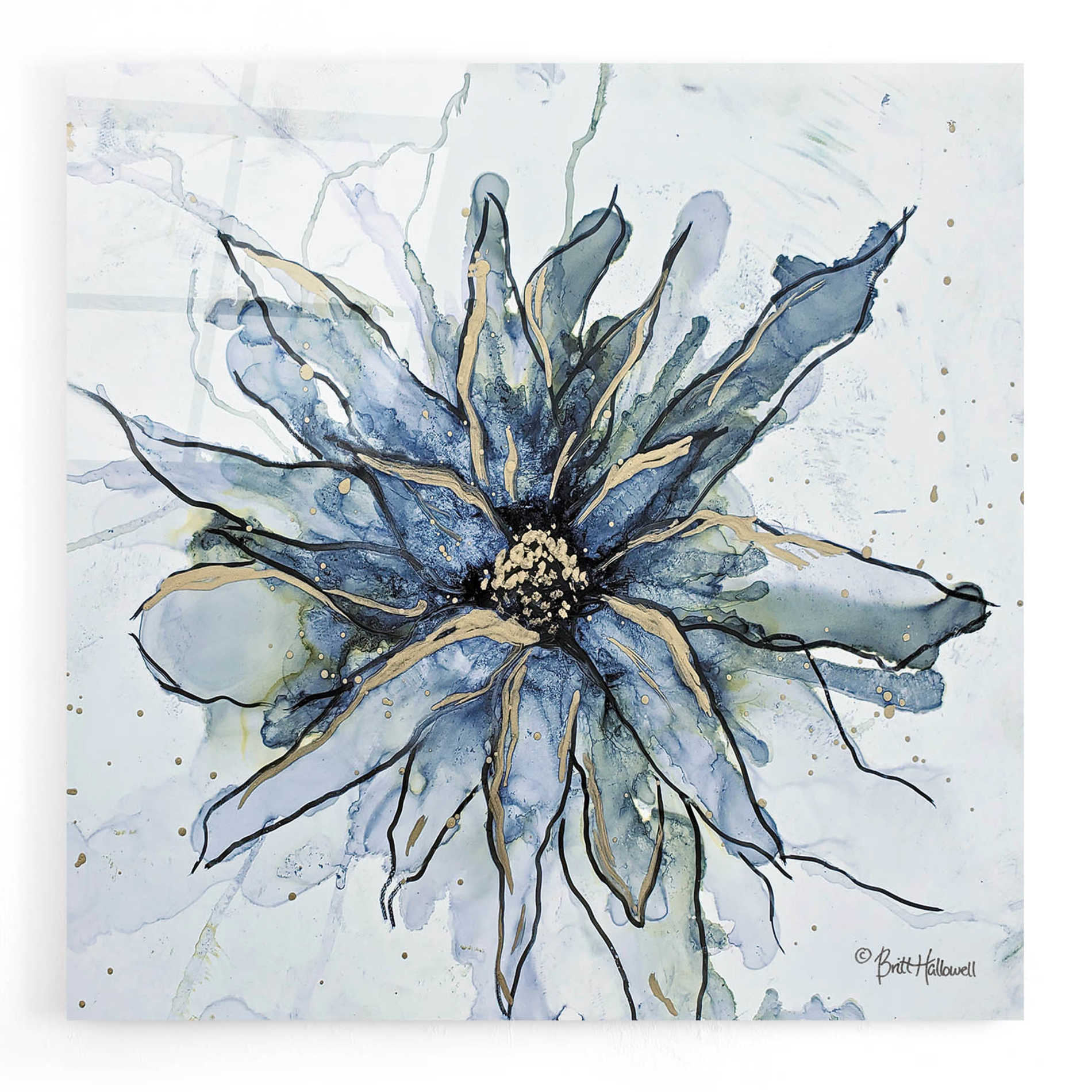 Epic Art 'Blooming 1' by Britt Hallowell, Acrylic Glass Wall Art,12x12