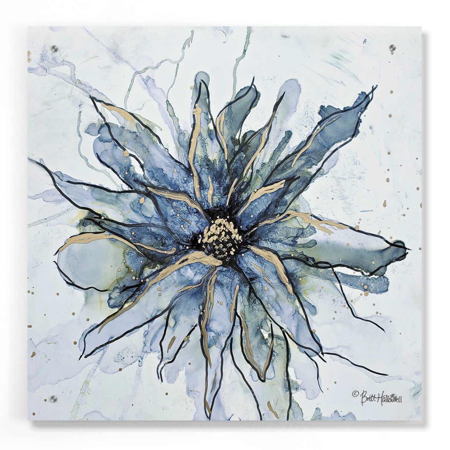 Epic Art 'Blooming 1' by Britt Hallowell, Acrylic Glass Wall Art,24x24