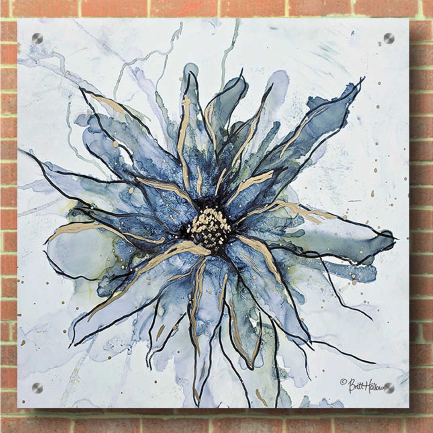 Epic Art 'Blooming 1' by Britt Hallowell, Acrylic Glass Wall Art,36x36