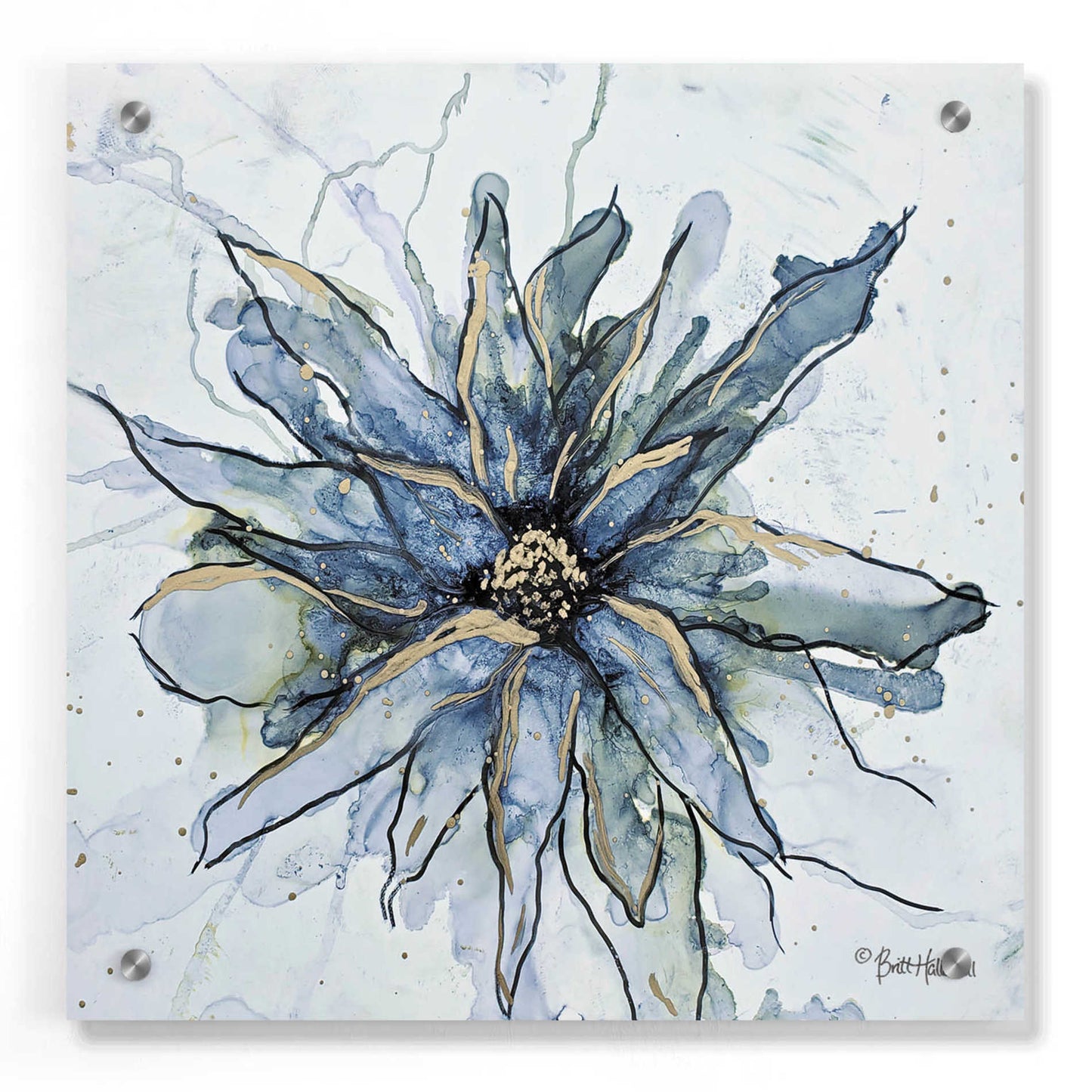 Epic Art 'Blooming 1' by Britt Hallowell, Acrylic Glass Wall Art,36x36