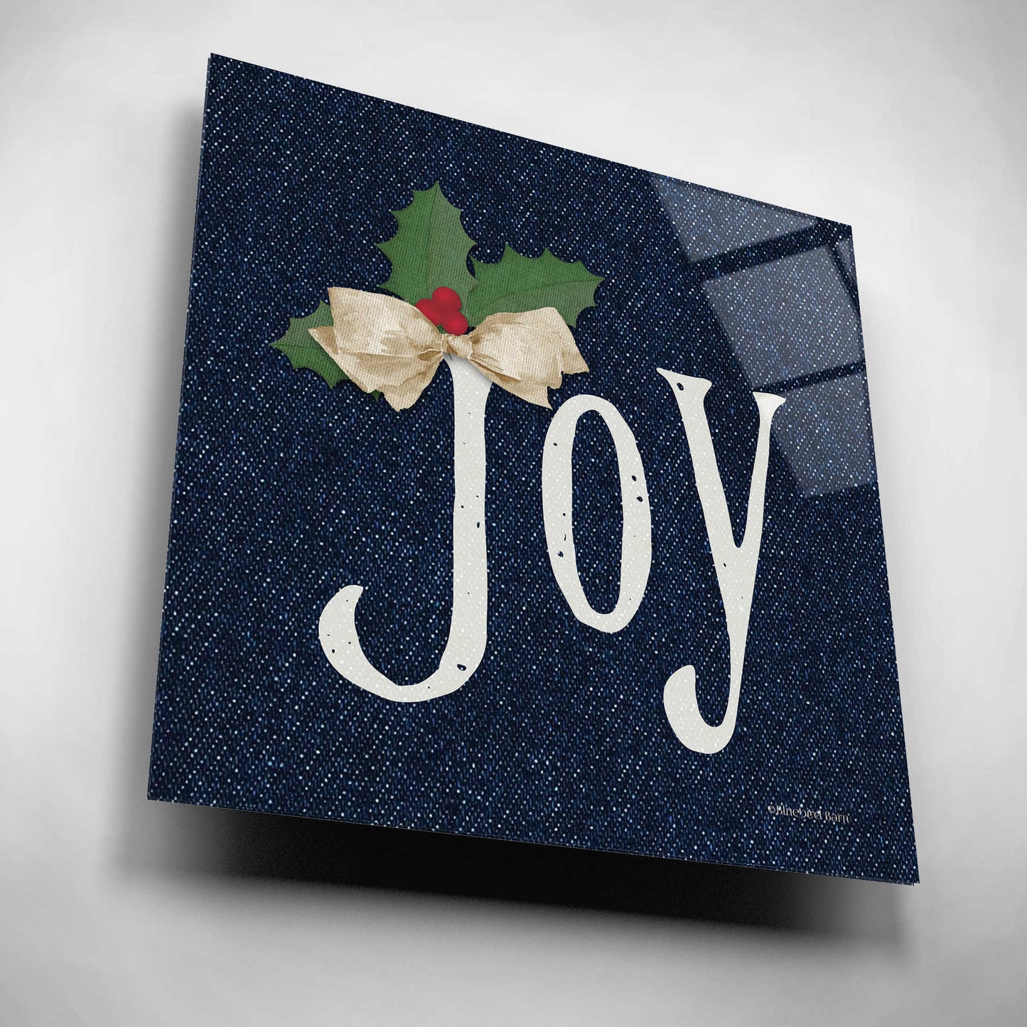 Epic Art 'Joy' by Bluebird Barn, Acrylic Glass Wall Art,12x12