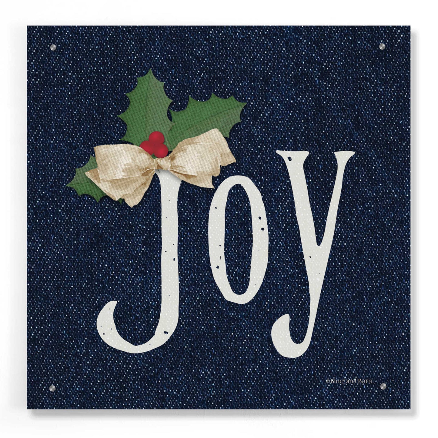 Epic Art 'Joy' by Bluebird Barn, Acrylic Glass Wall Art,24x24