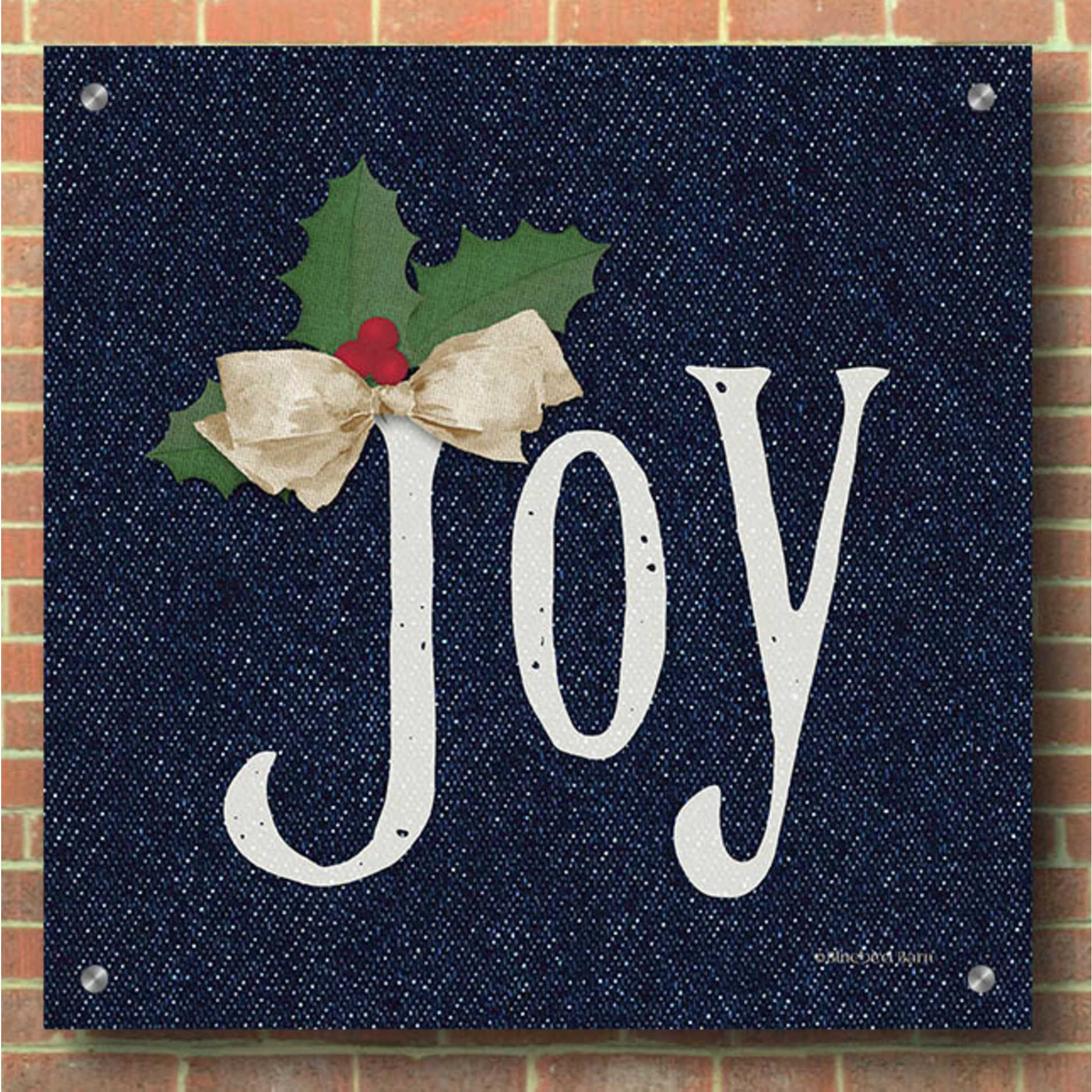 Epic Art 'Joy' by Bluebird Barn, Acrylic Glass Wall Art,36x36