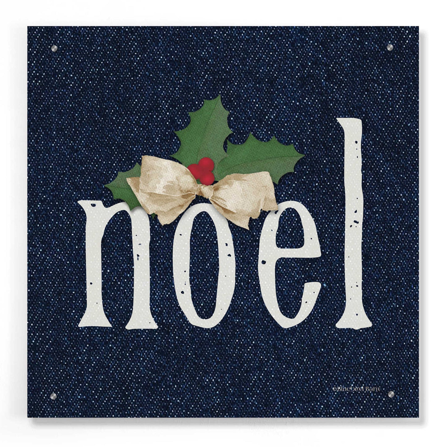 Epic Art 'Noel' by Bluebird Barn, Acrylic Glass Wall Art,24x24