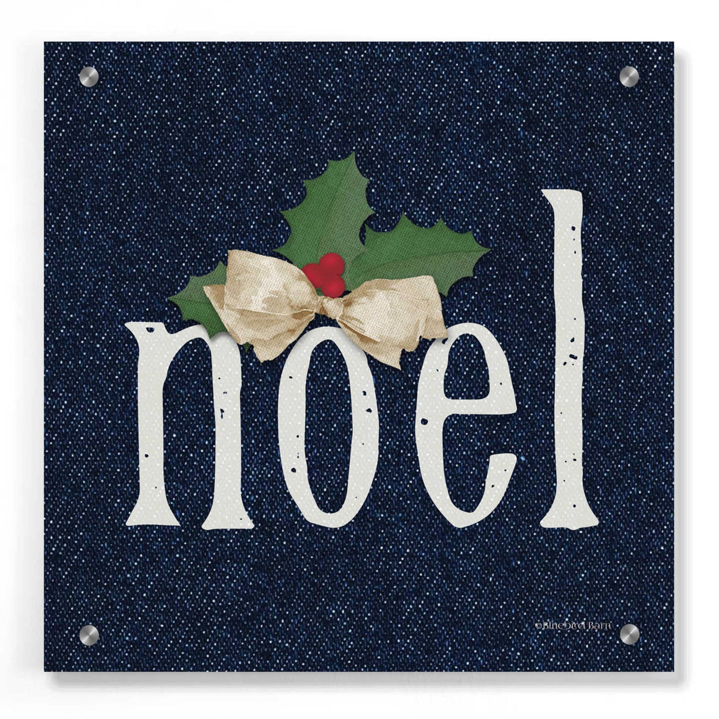 Epic Art 'Noel' by Bluebird Barn, Acrylic Glass Wall Art,36x36