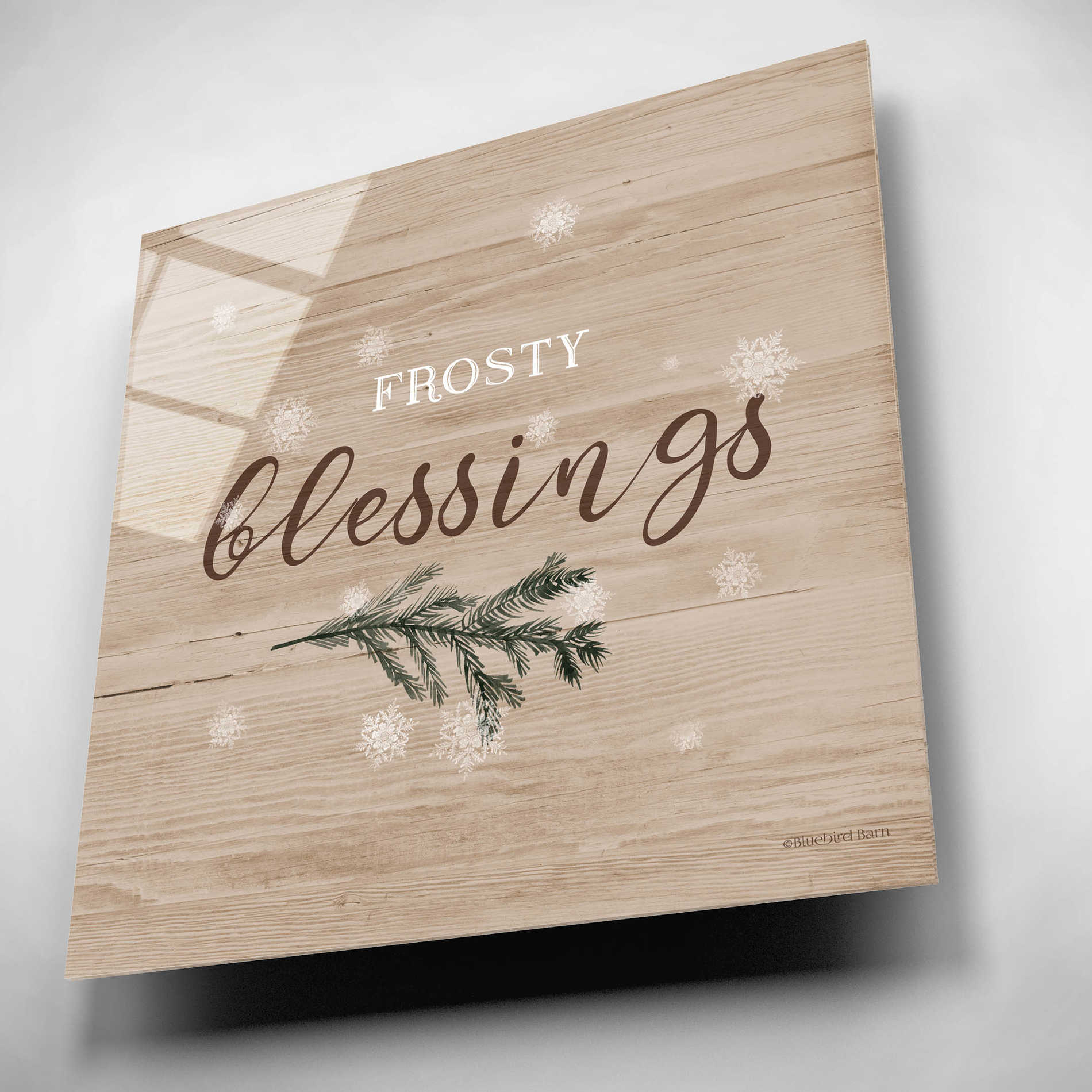 Epic Art 'Frosty Blessings I' by Bluebird Barn, Acrylic Glass Wall Art,12x12