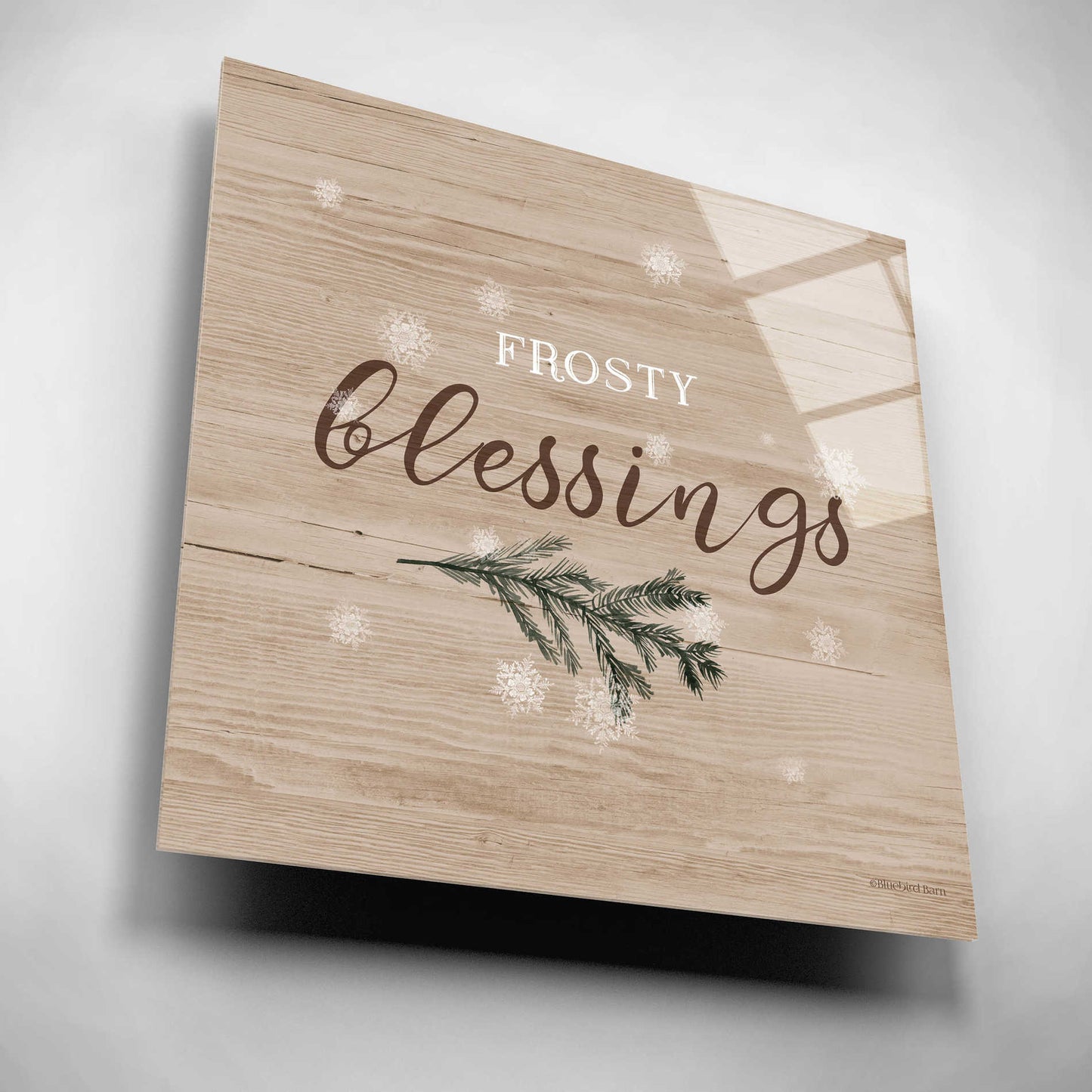 Epic Art 'Frosty Blessings I' by Bluebird Barn, Acrylic Glass Wall Art,12x12