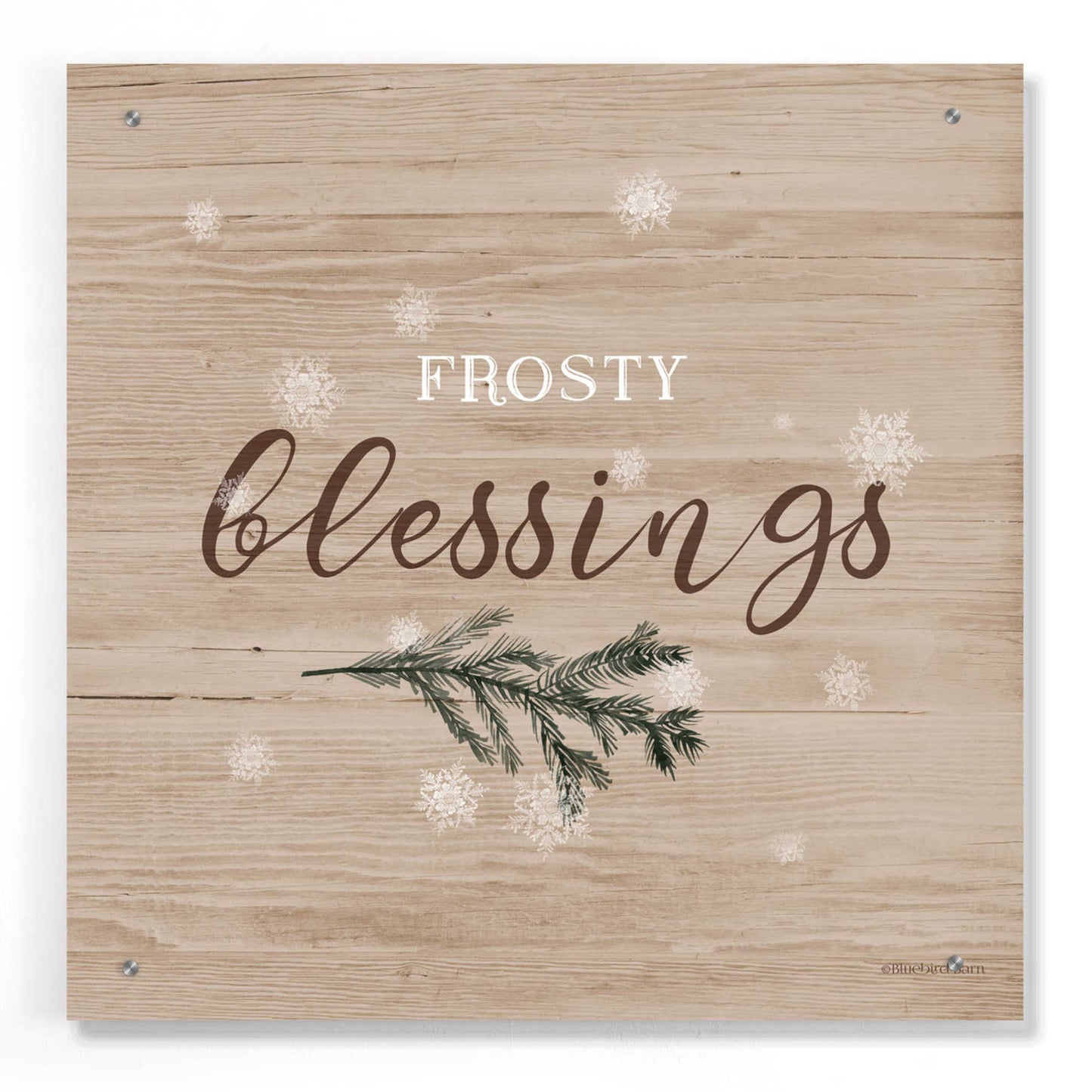 Epic Art 'Frosty Blessings I' by Bluebird Barn, Acrylic Glass Wall Art,24x24