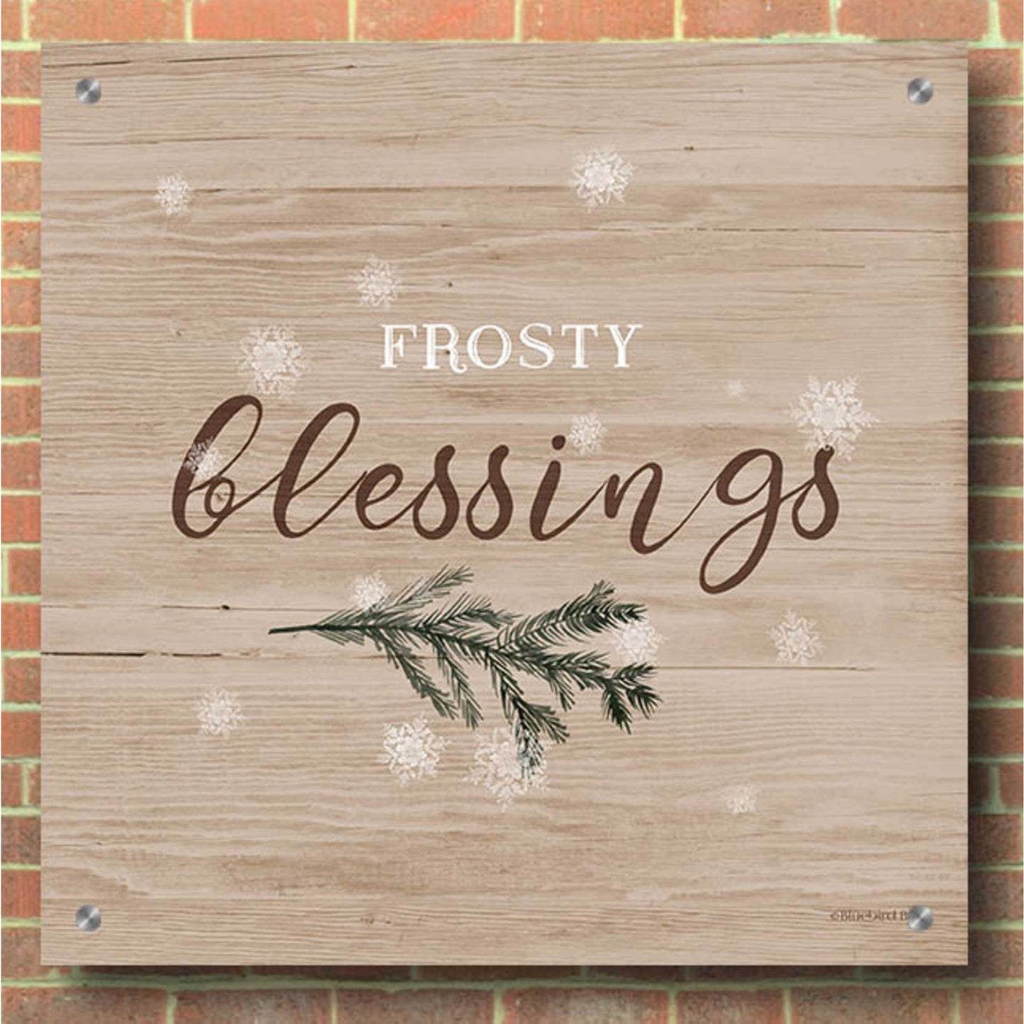 Epic Art 'Frosty Blessings I' by Bluebird Barn, Acrylic Glass Wall Art,36x36