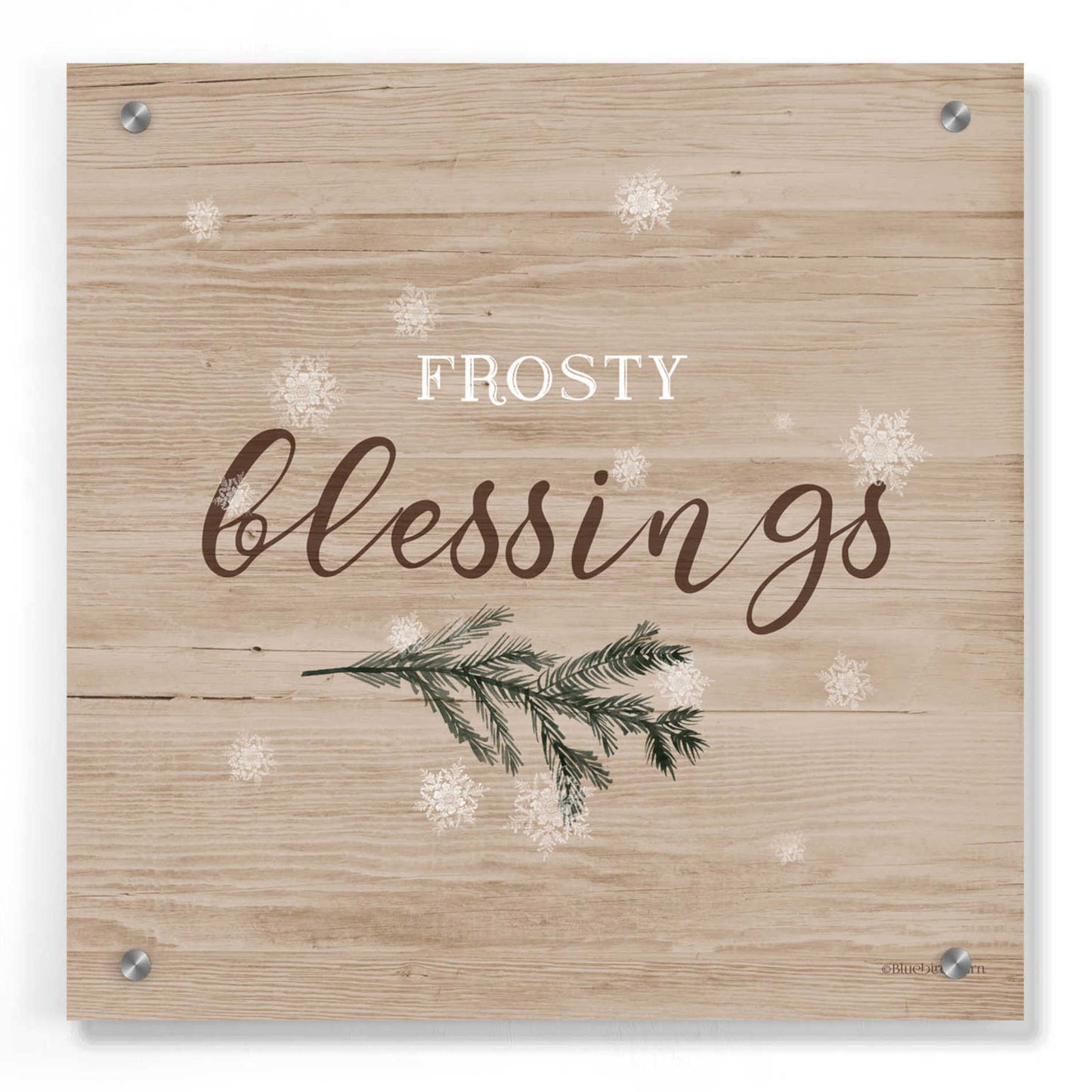 Epic Art 'Frosty Blessings I' by Bluebird Barn, Acrylic Glass Wall Art,36x36