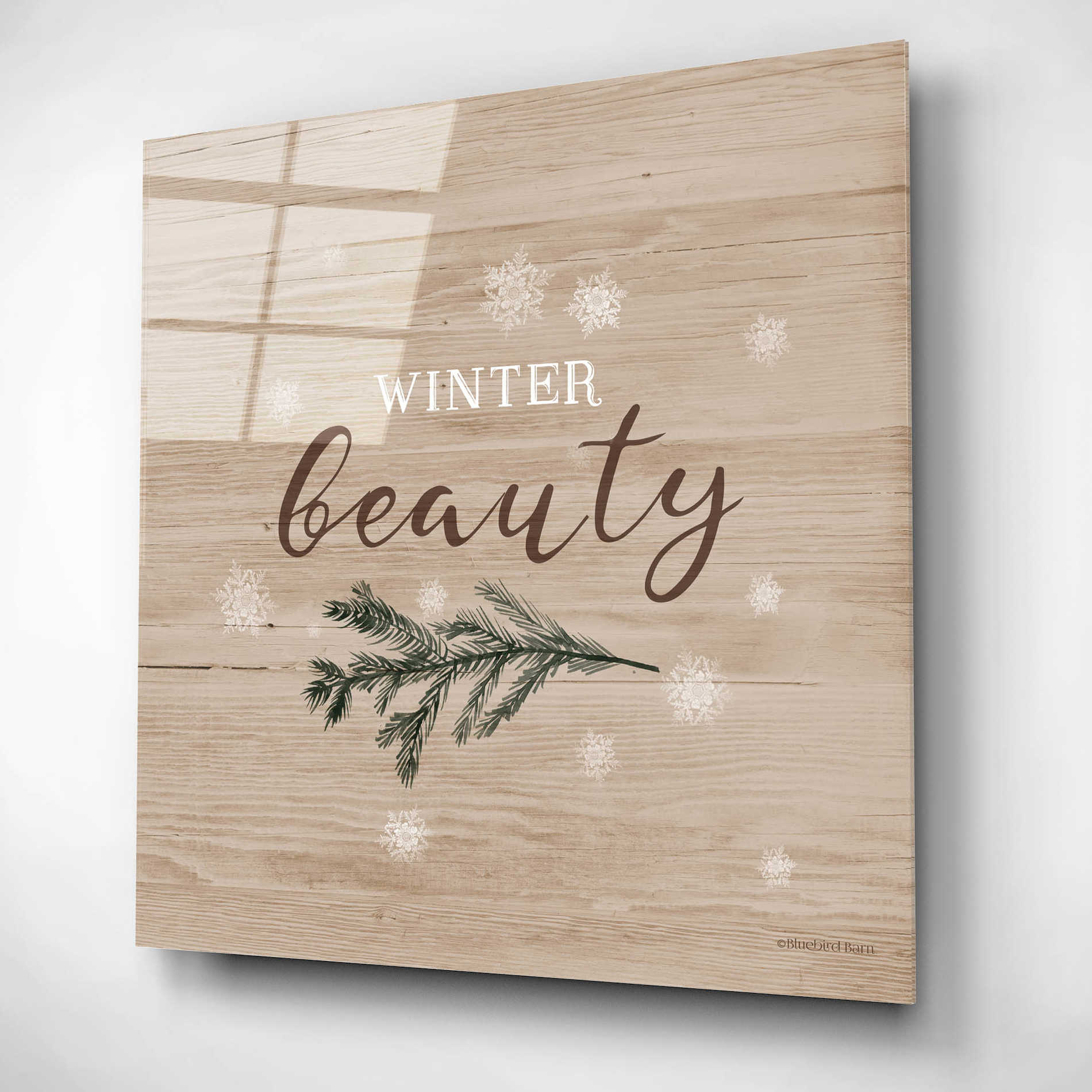 Epic Art 'Winter Beauty I' by Bluebird Barn, Acrylic Glass Wall Art,12x12