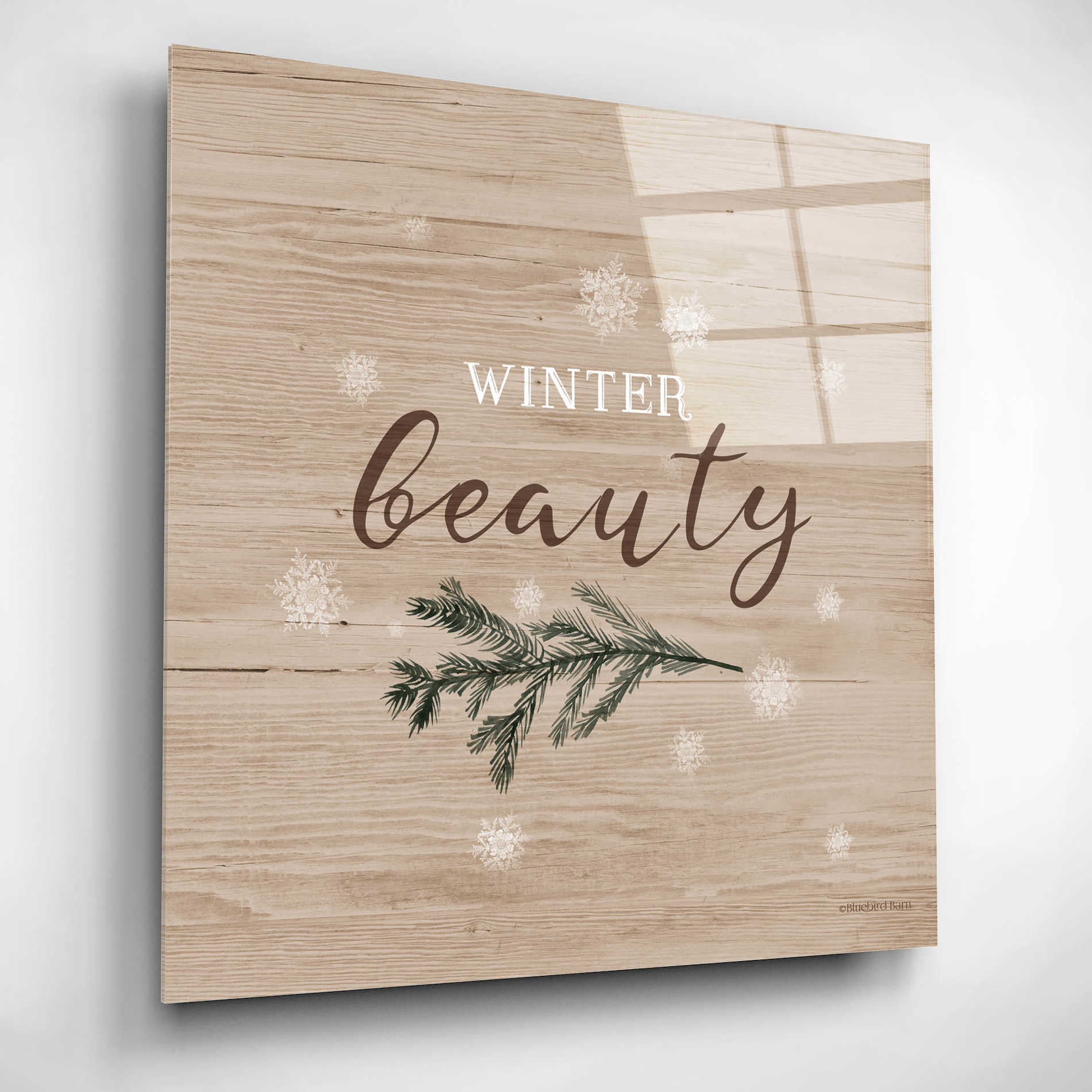 Epic Art 'Winter Beauty I' by Bluebird Barn, Acrylic Glass Wall Art,12x12