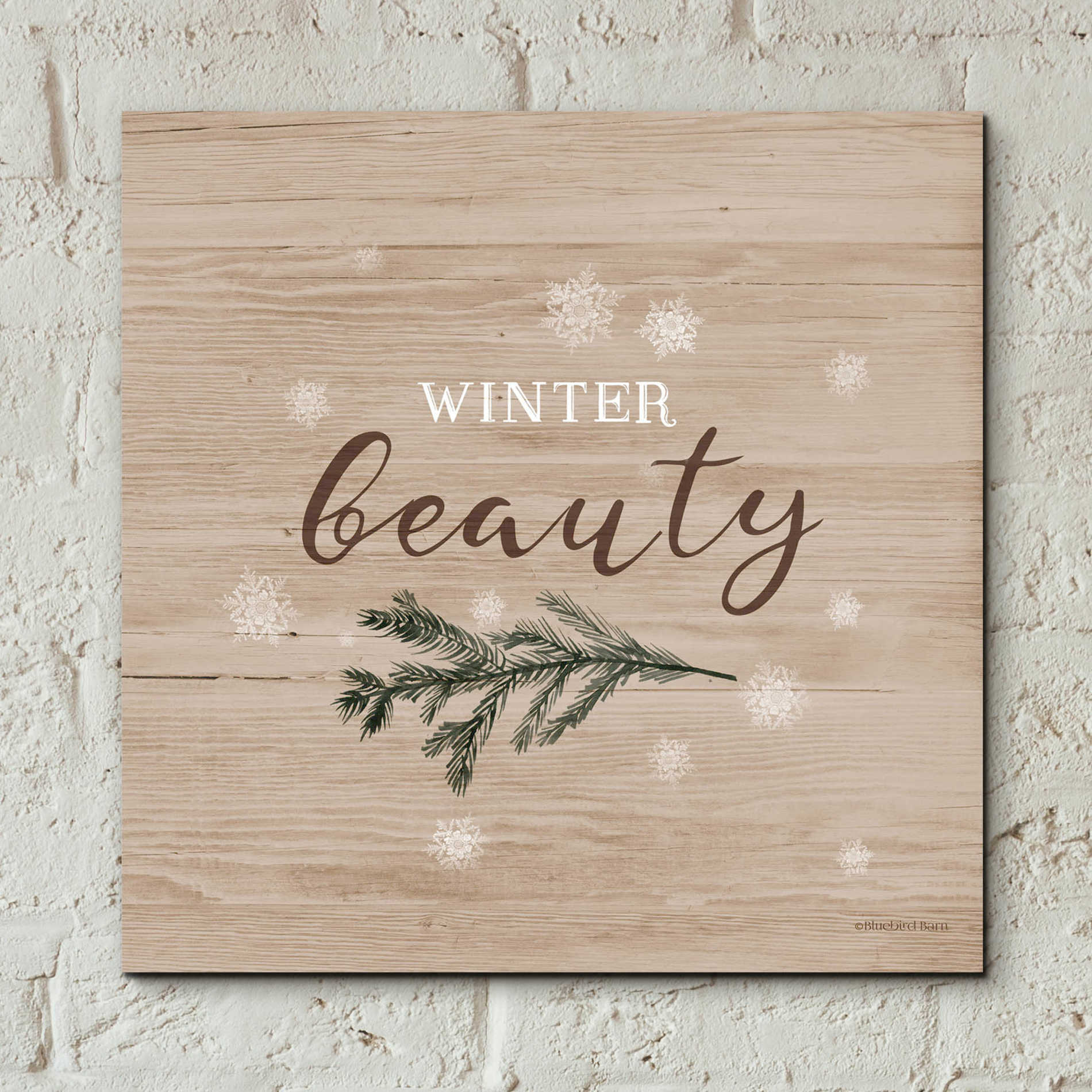 Epic Art 'Winter Beauty I' by Bluebird Barn, Acrylic Glass Wall Art,12x12