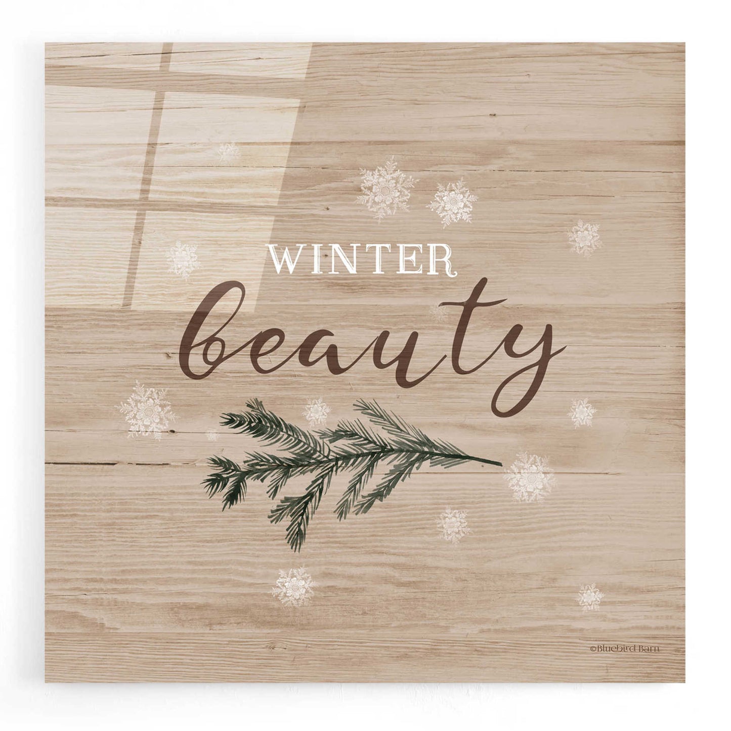 Epic Art 'Winter Beauty I' by Bluebird Barn, Acrylic Glass Wall Art,12x12