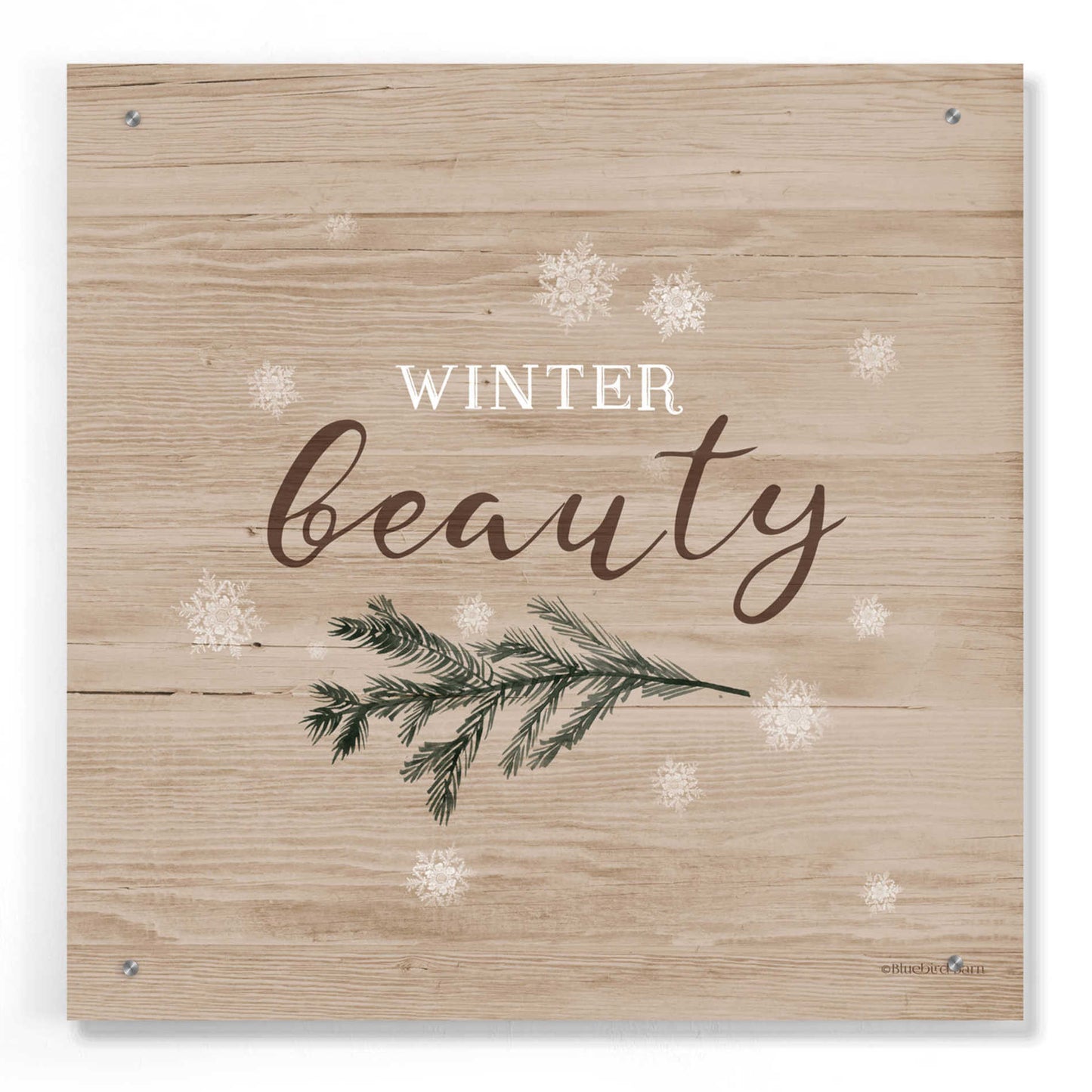 Epic Art 'Winter Beauty I' by Bluebird Barn, Acrylic Glass Wall Art,24x24