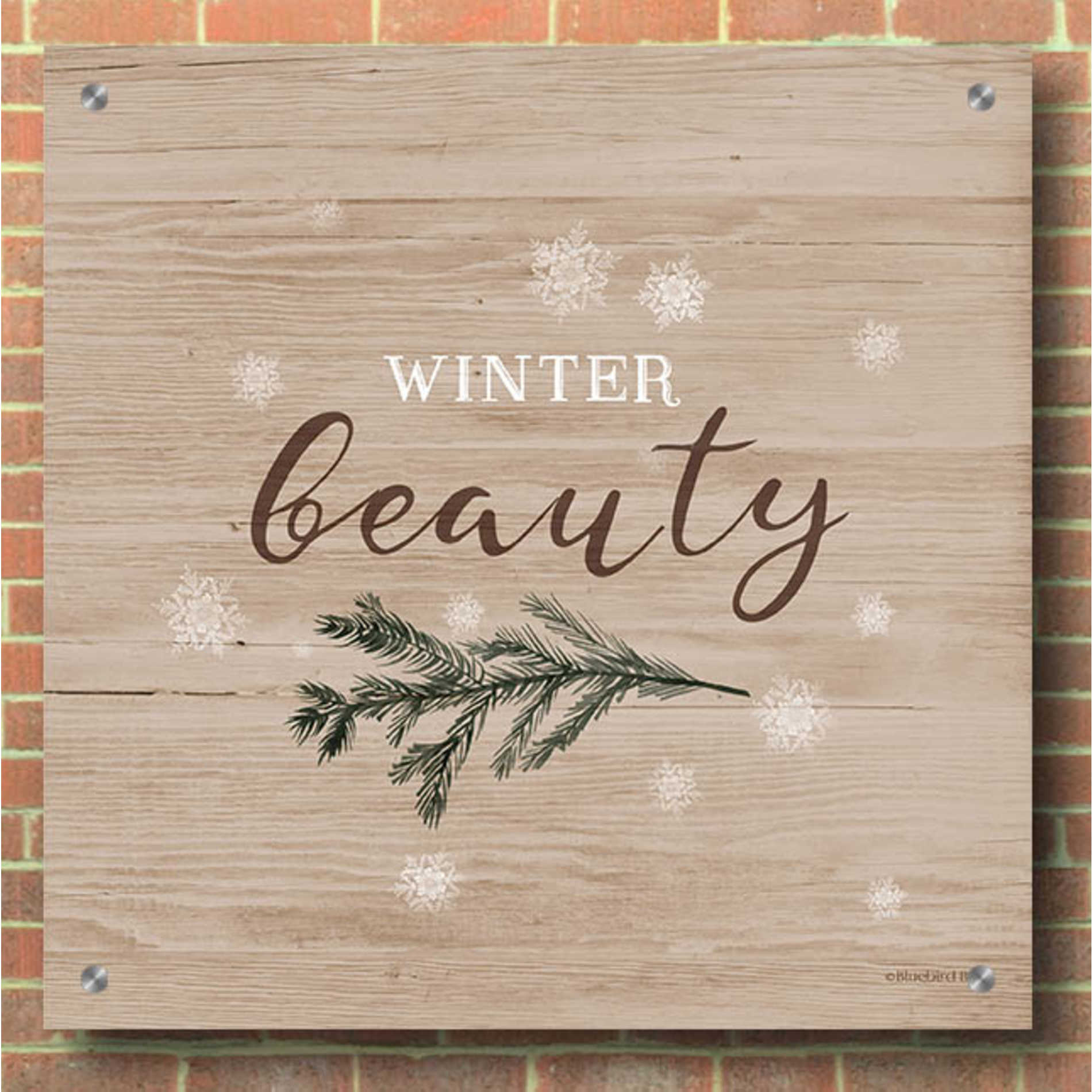 Epic Art 'Winter Beauty I' by Bluebird Barn, Acrylic Glass Wall Art,36x36