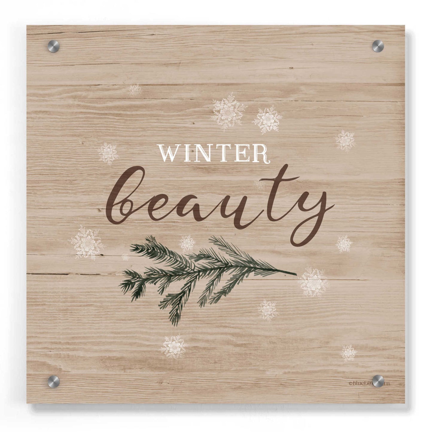 Epic Art 'Winter Beauty I' by Bluebird Barn, Acrylic Glass Wall Art,36x36