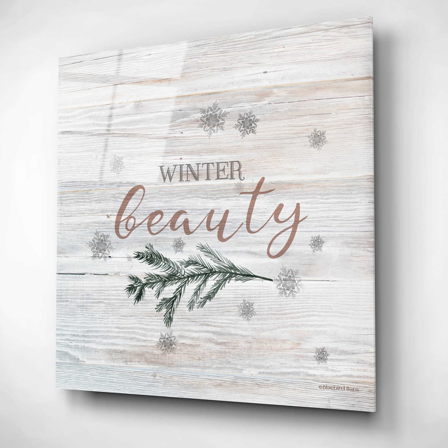 Epic Art 'Winter Beauty II' by Bluebird Barn, Acrylic Glass Wall Art,12x12