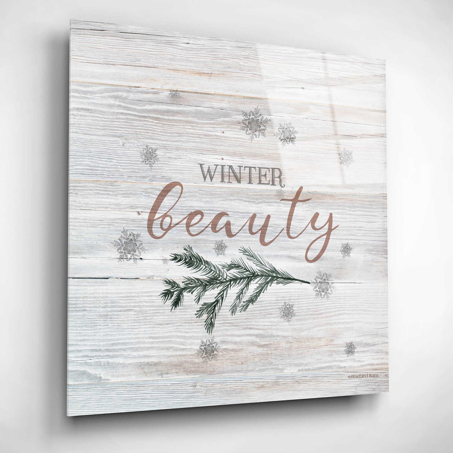 Epic Art 'Winter Beauty II' by Bluebird Barn, Acrylic Glass Wall Art,12x12