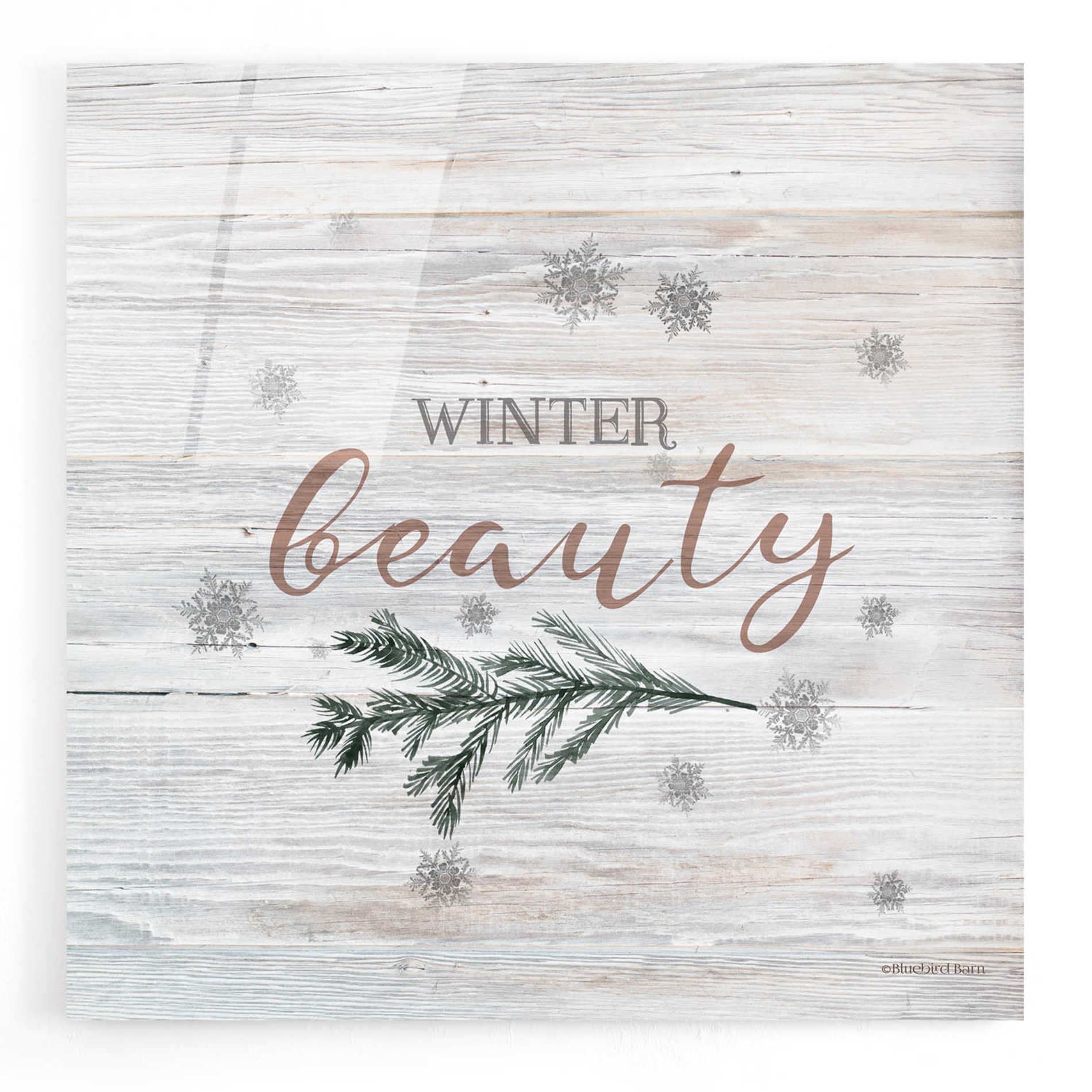 Epic Art 'Winter Beauty II' by Bluebird Barn, Acrylic Glass Wall Art,12x12