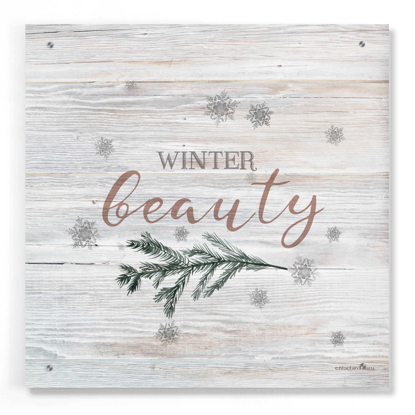 Epic Art 'Winter Beauty II' by Bluebird Barn, Acrylic Glass Wall Art,24x24