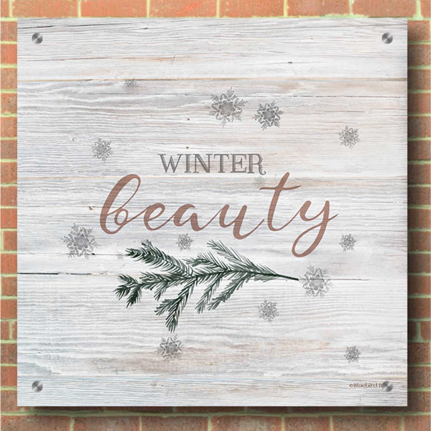 Epic Art 'Winter Beauty II' by Bluebird Barn, Acrylic Glass Wall Art,36x36