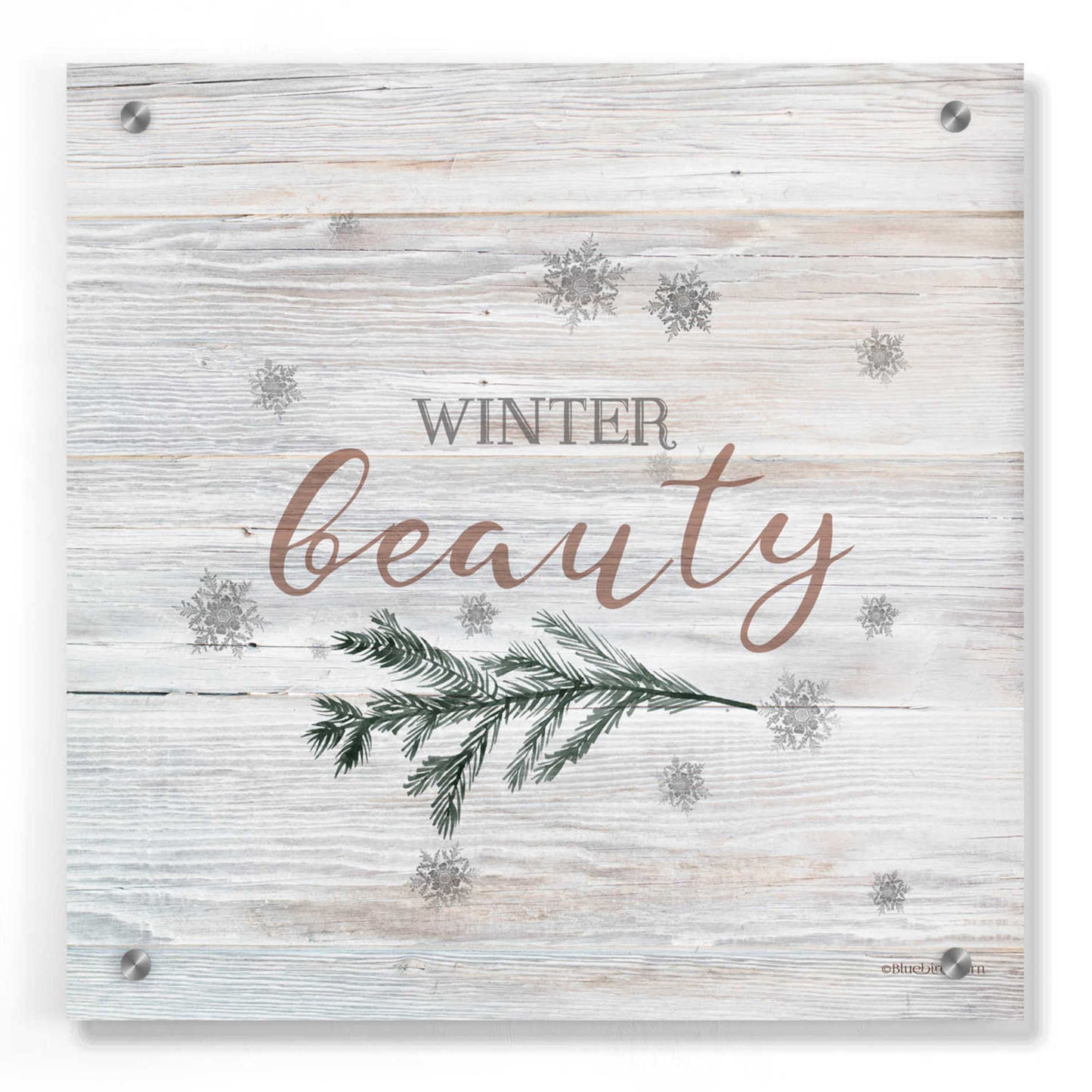 Epic Art 'Winter Beauty II' by Bluebird Barn, Acrylic Glass Wall Art,36x36