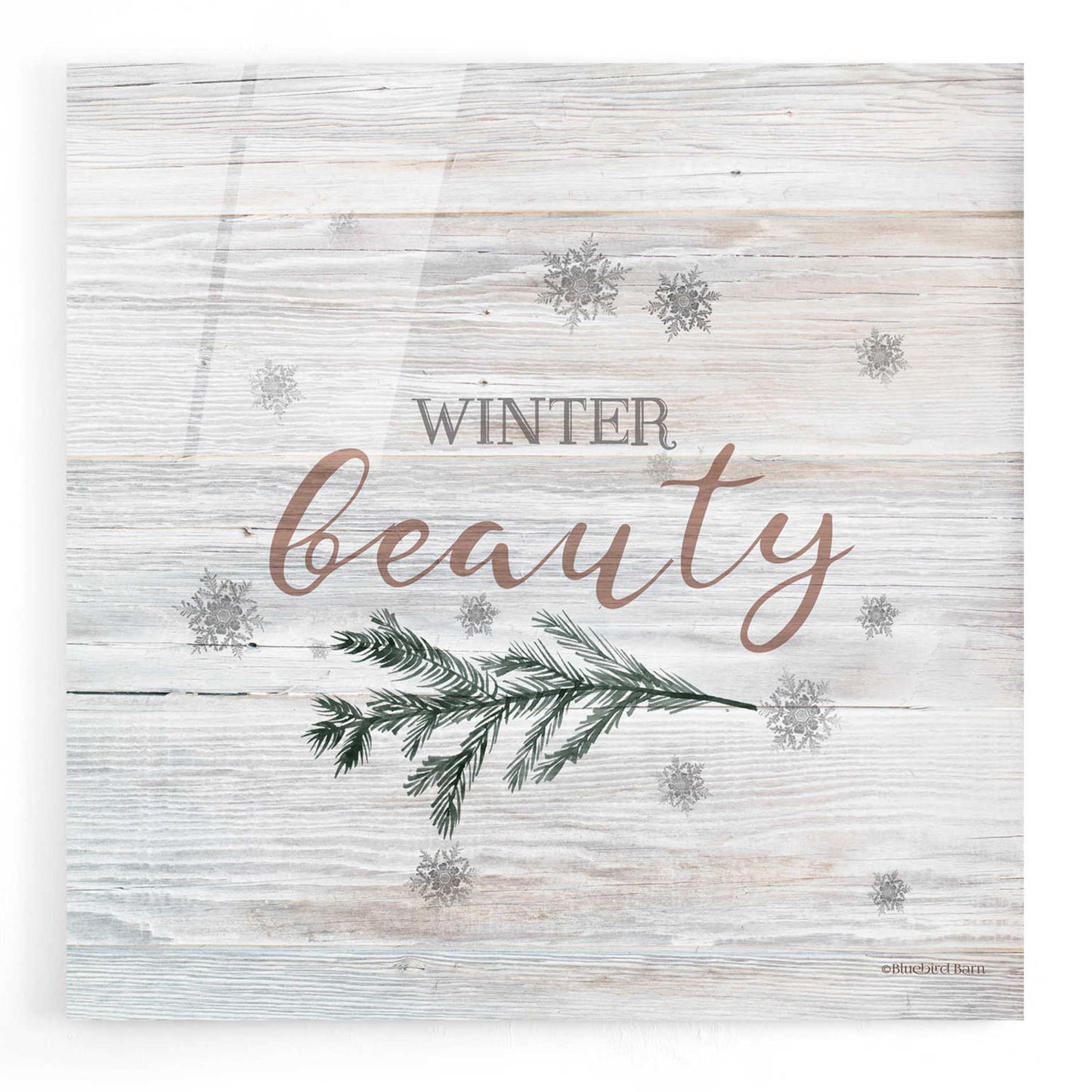 Epic Art 'Winter Beauty II' by Bluebird Barn, Acrylic Glass Wall Art