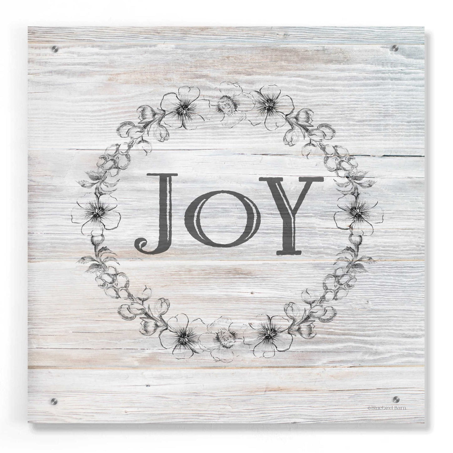 Epic Art 'Joy II' by Bluebird Barn, Acrylic Glass Wall Art,24x24